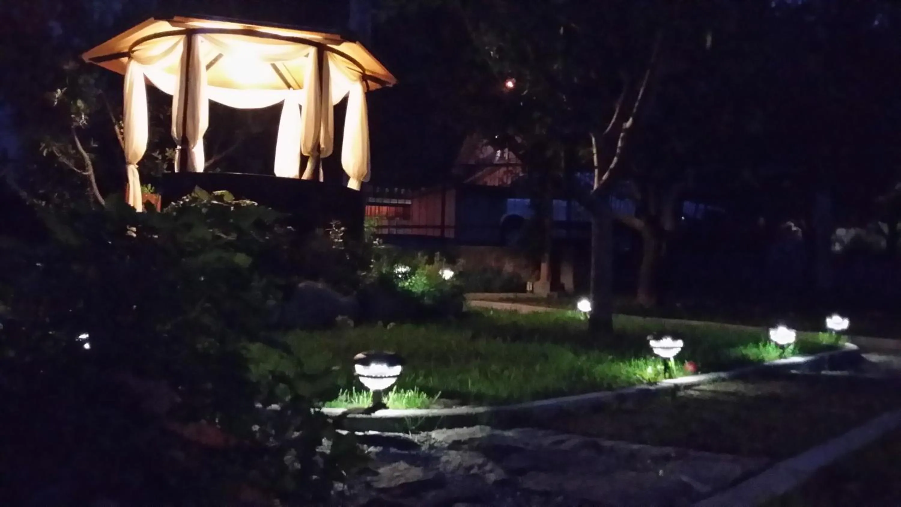 Entertainment in La Roche Hotel Appartments