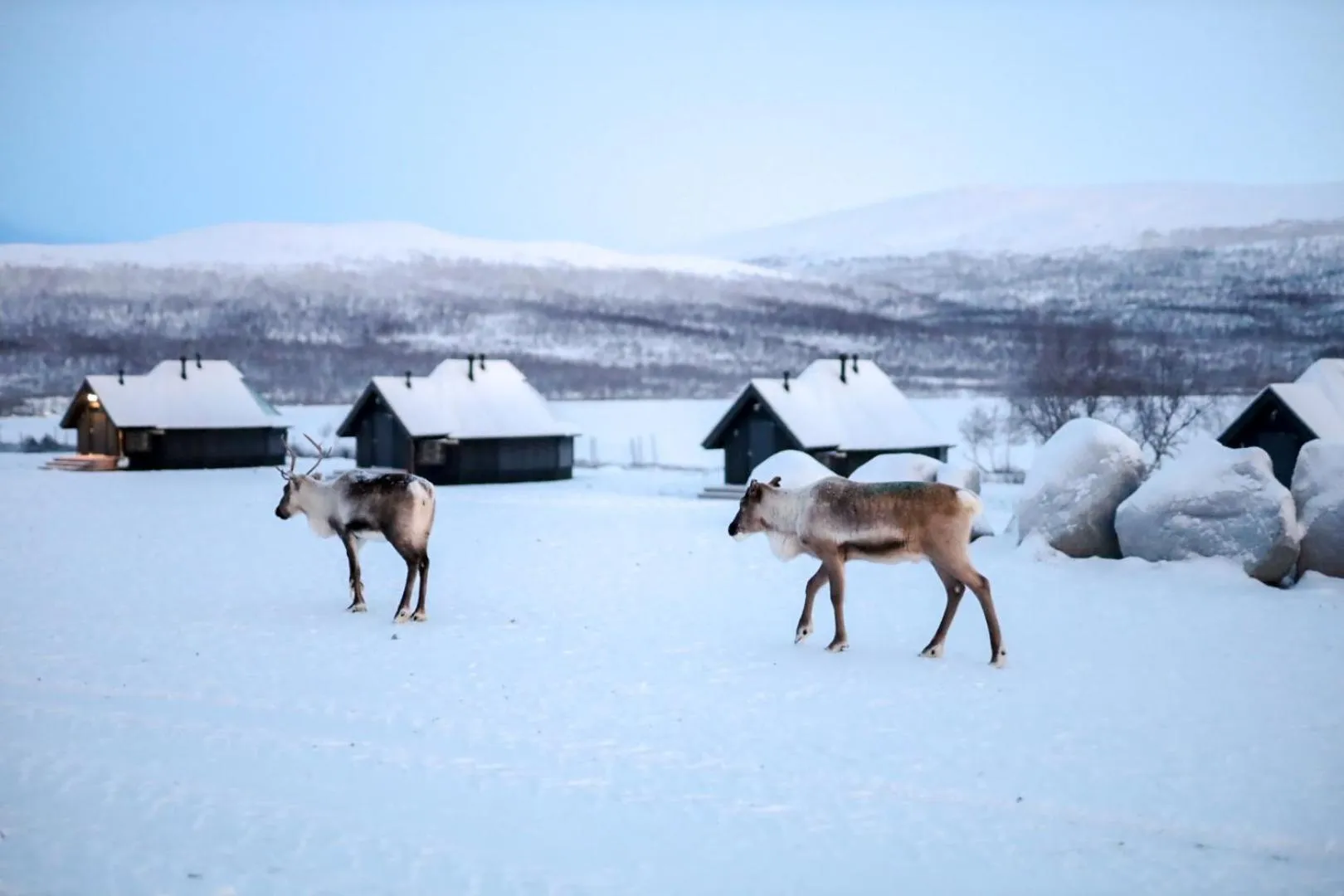 Property building in Arctic Land Adventure Glass Igloos