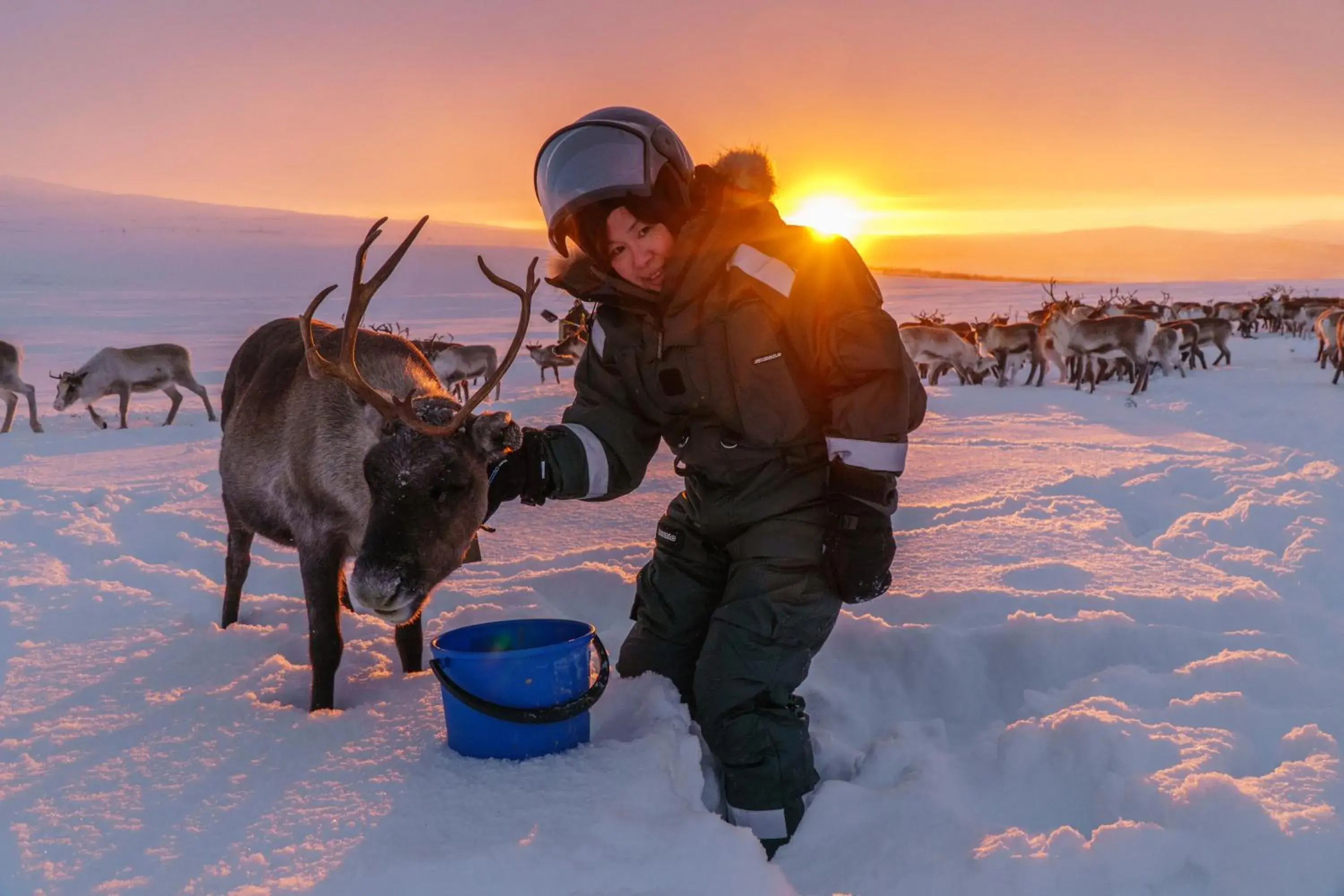 Glass Igloo in Arctic Land Adventure Glass Igloos Glass Igloo in Arctic Land Adventure Glass Igloos