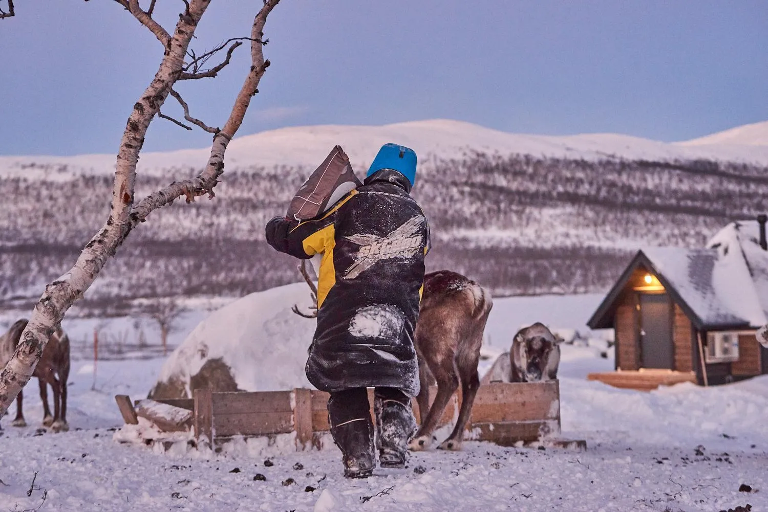 Neighbourhood in Arctic Land Adventure Glass Igloos