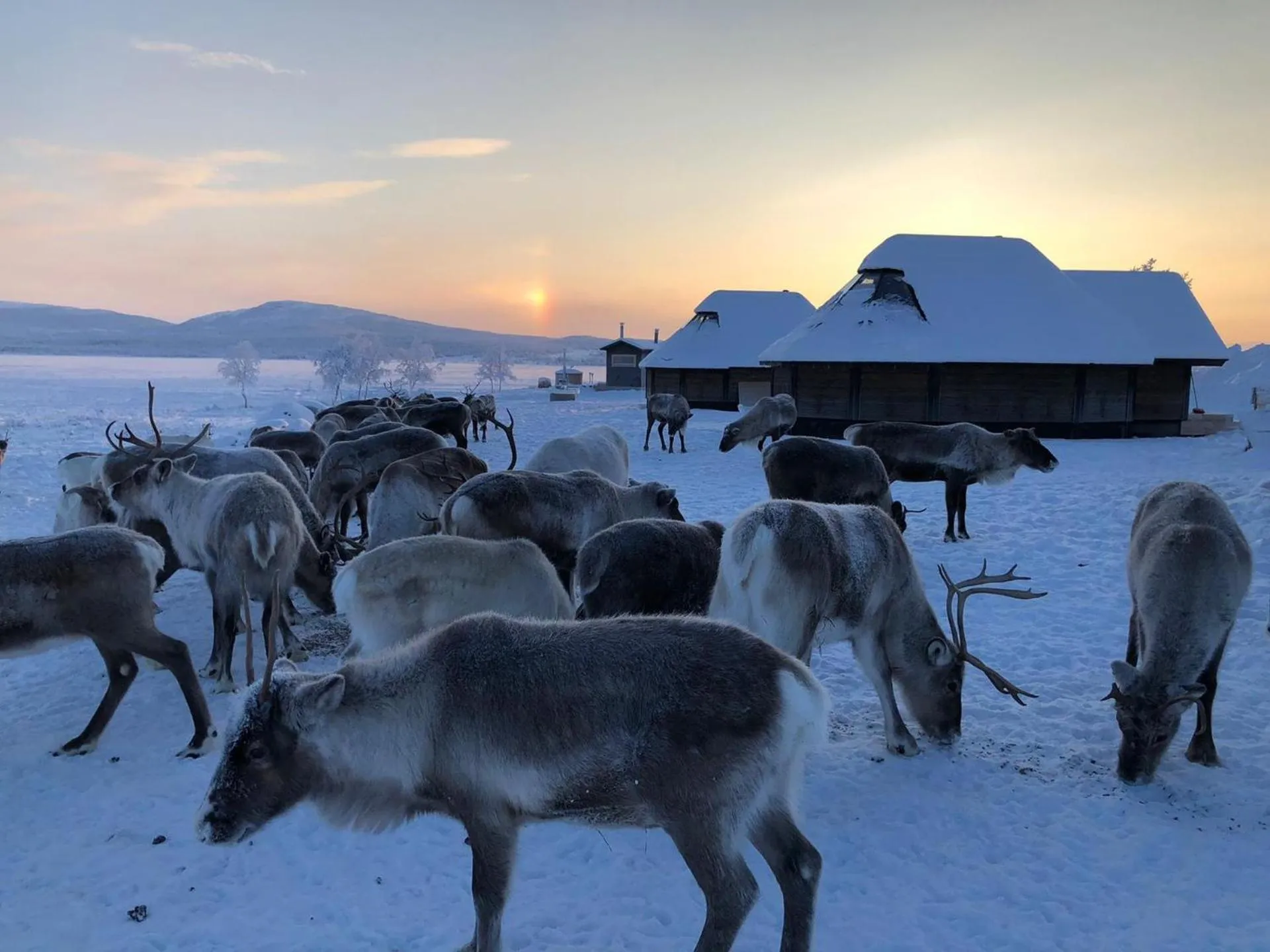 Property building in Arctic Land Adventure Glass Igloos