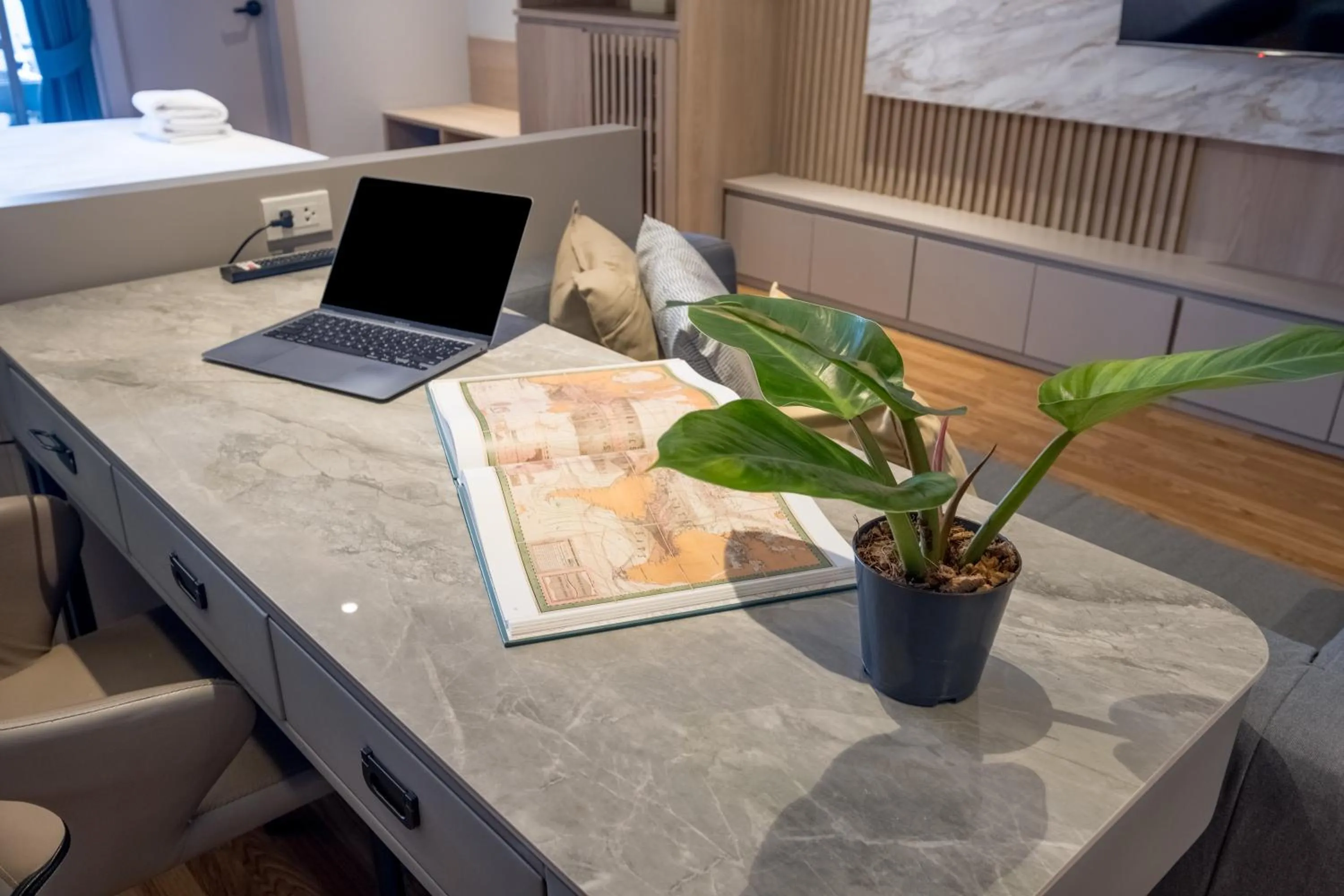 TV and multimedia in Boss Mansion