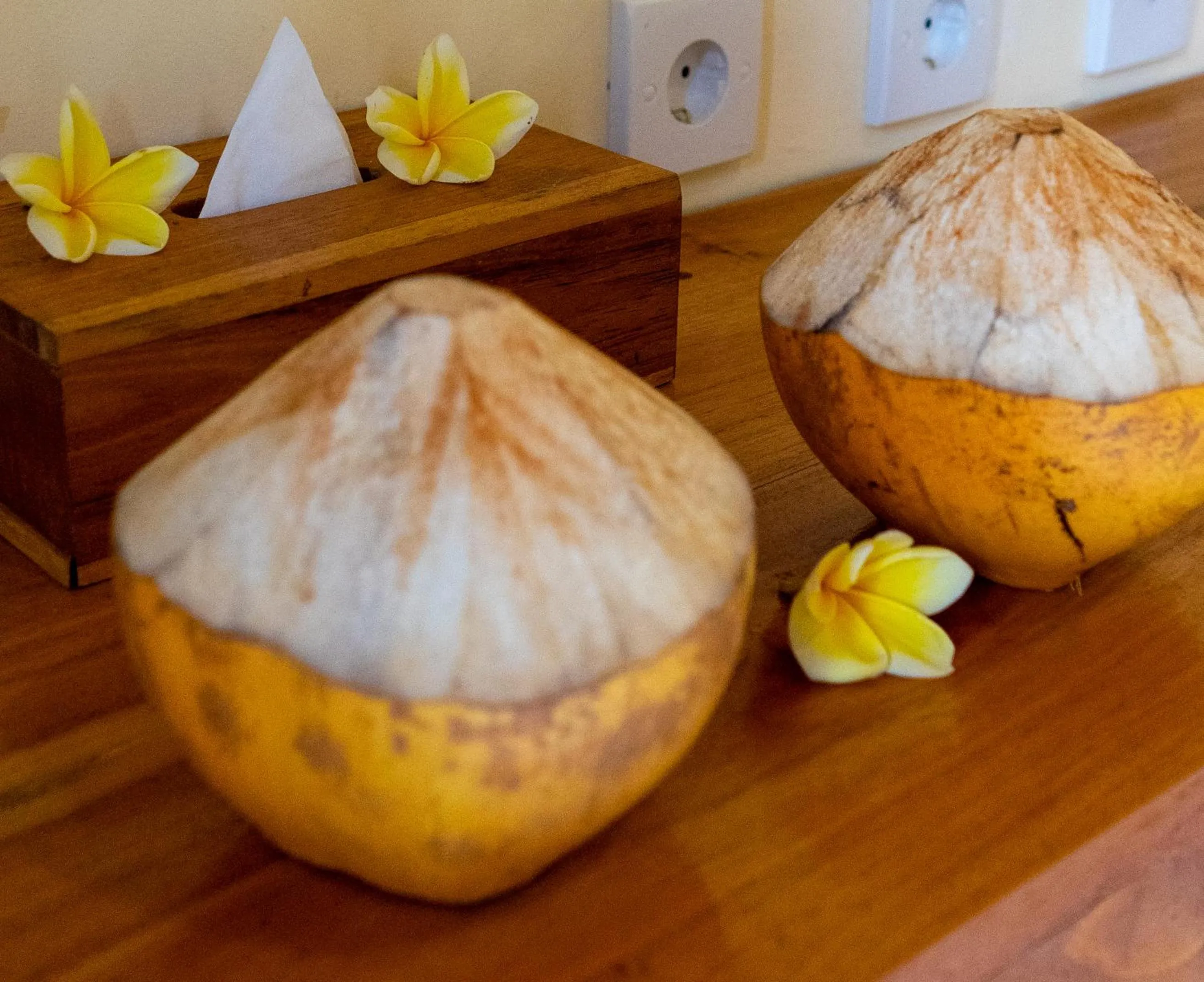 Food and drinks in Penida Bay Village