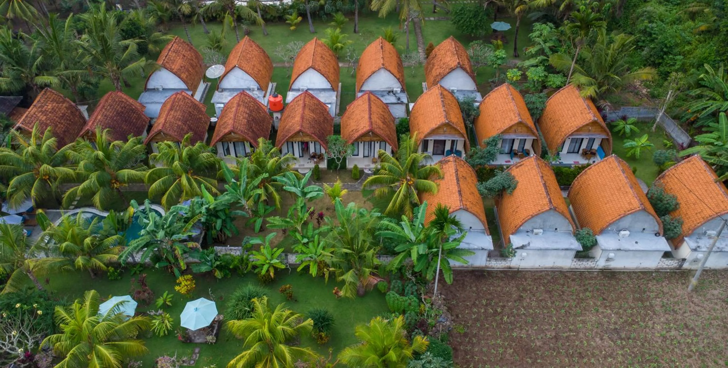 Food and drinks in Penida Bay Village