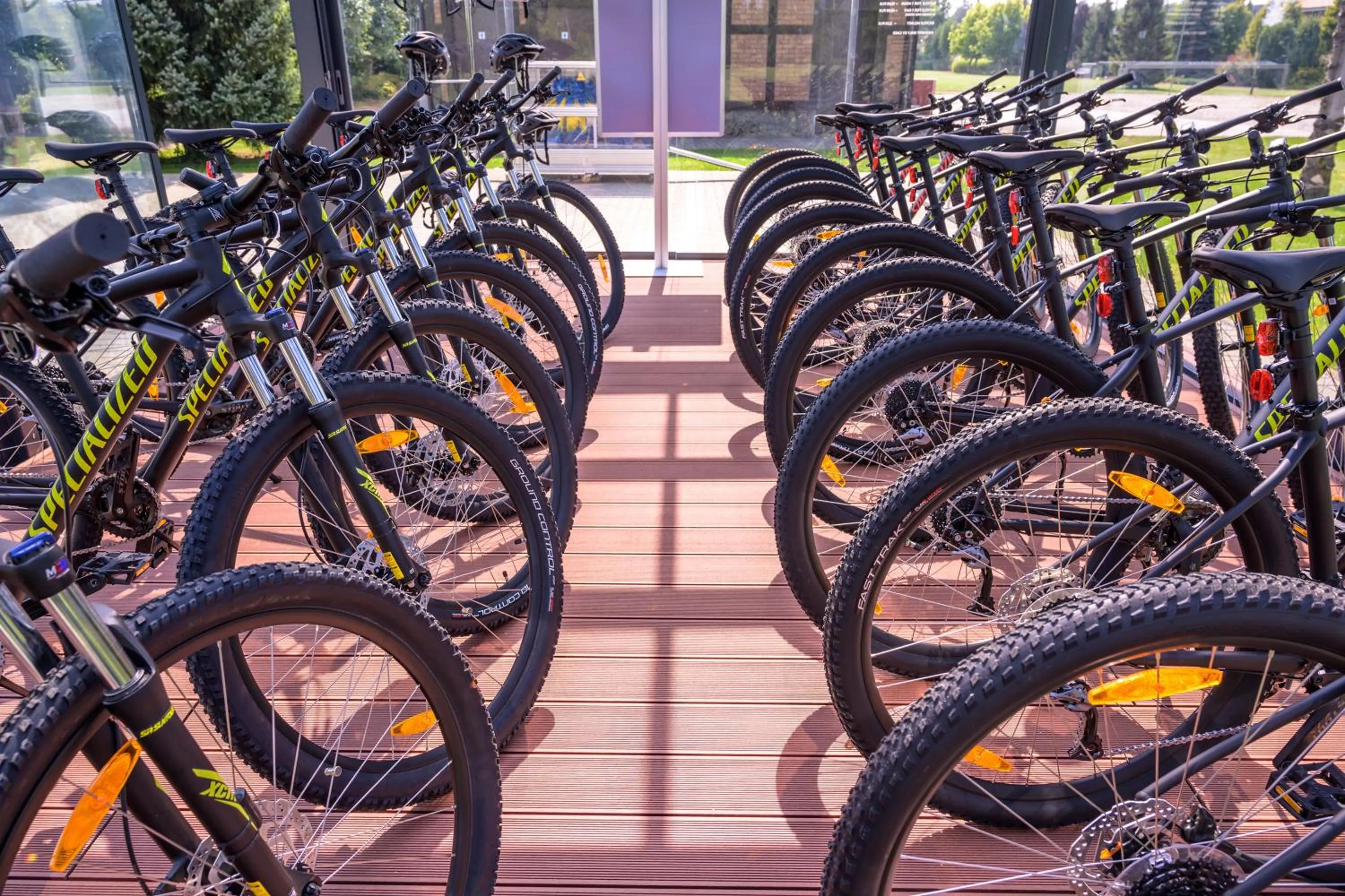 Activities in Hotel Habenda