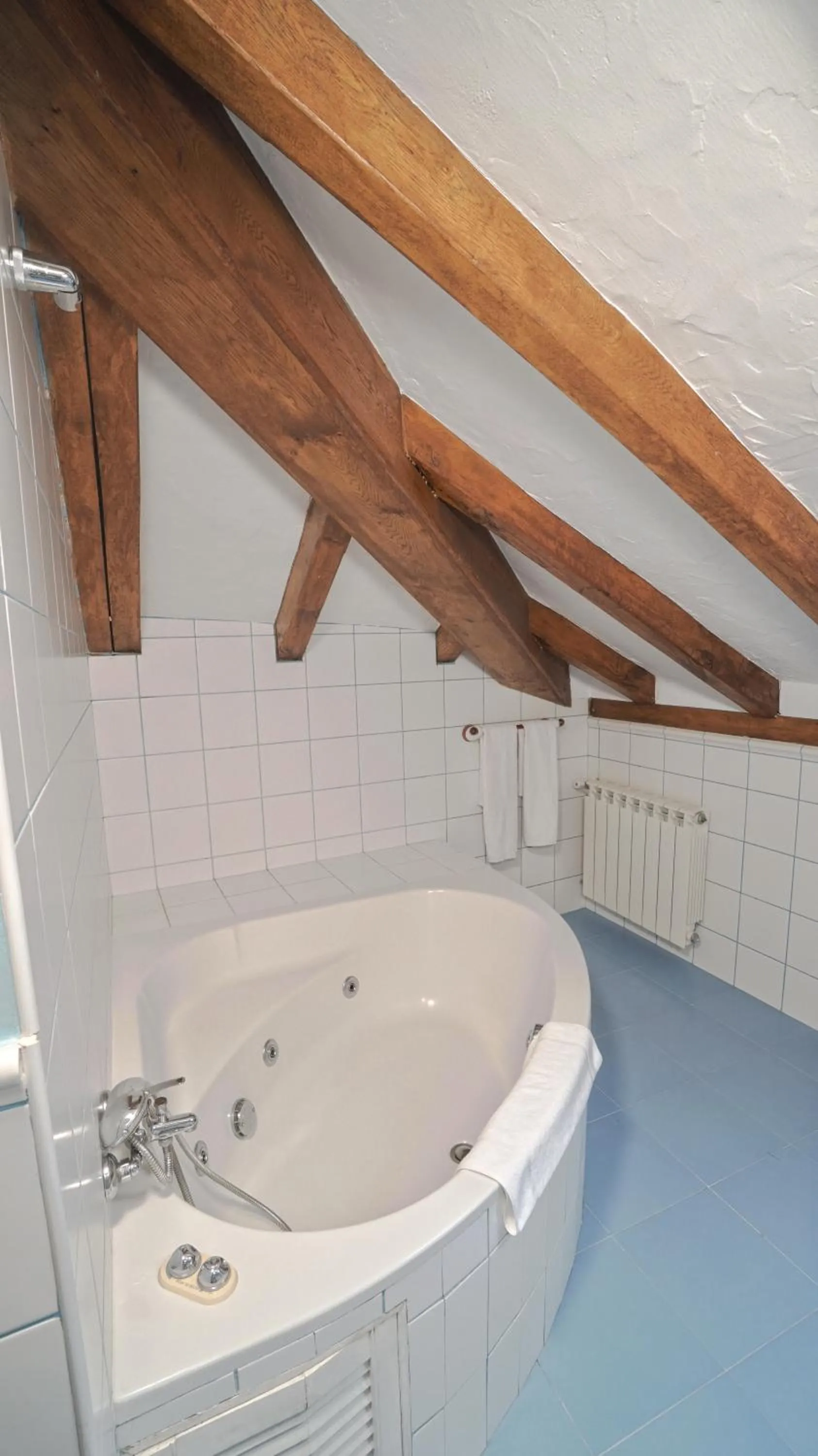Bath in Posada Venta Hornizo