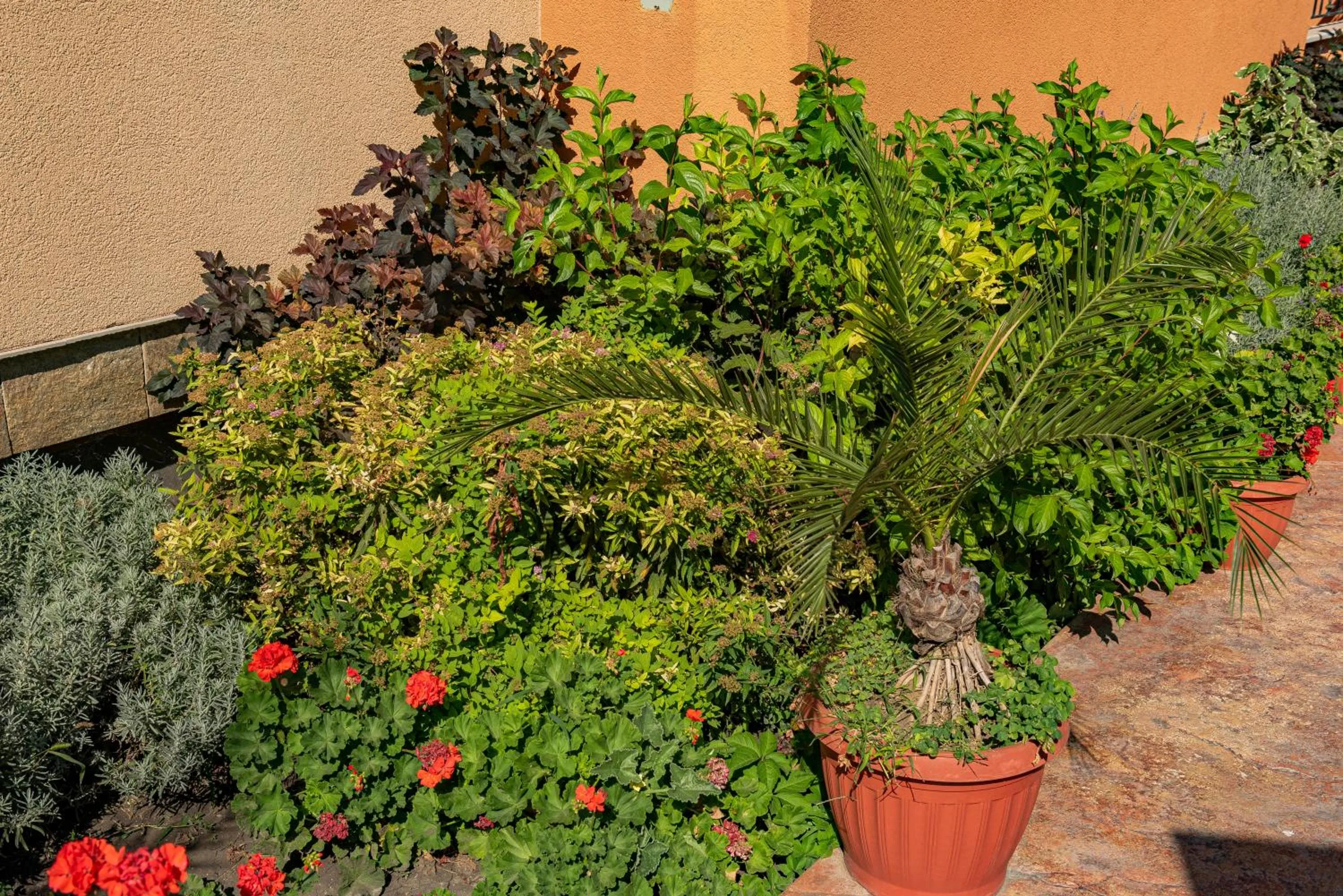 Garden in Efir 2 - Menada Apartments
