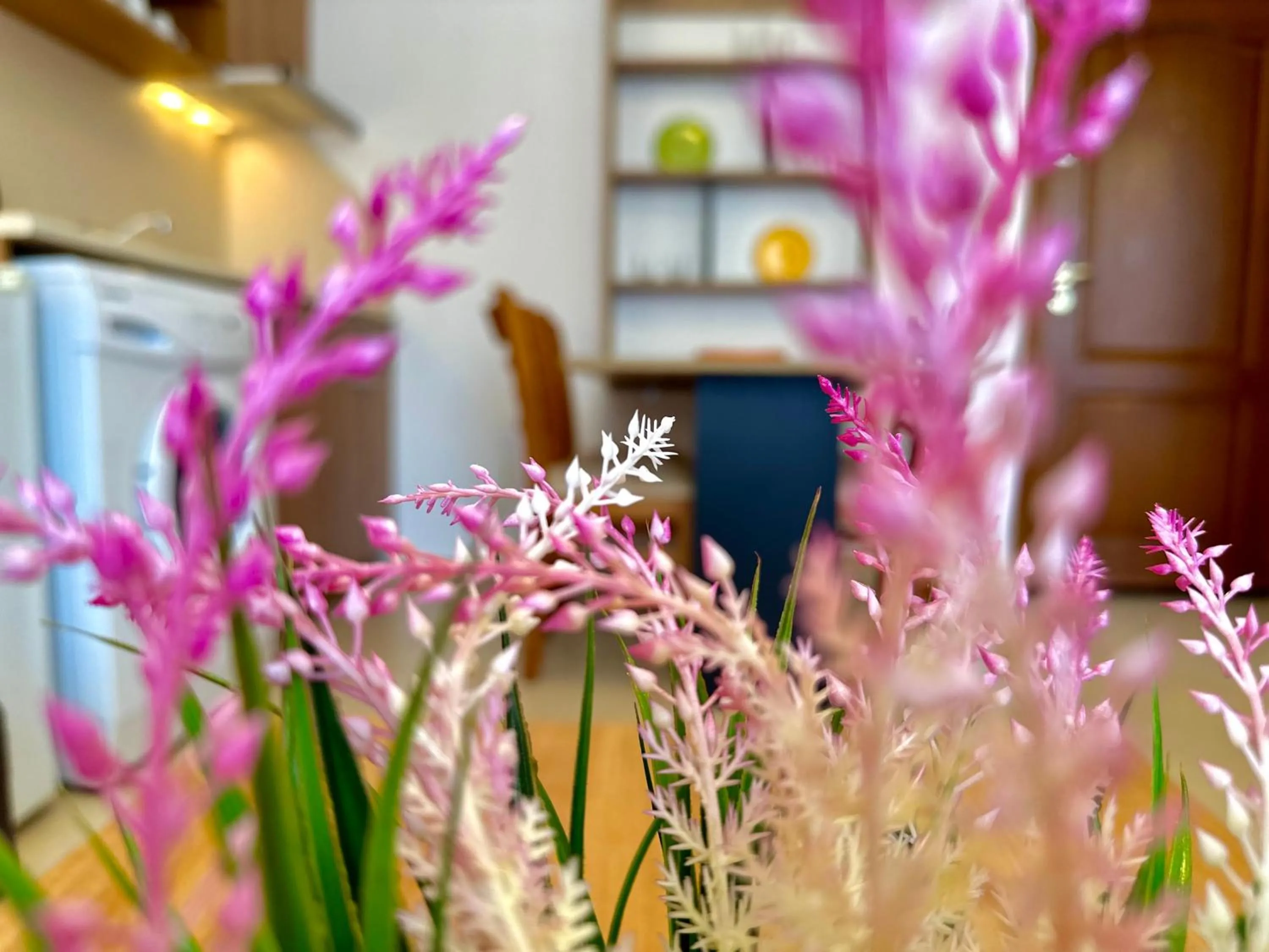Decorative detail in Efir 2 - Menada Apartments