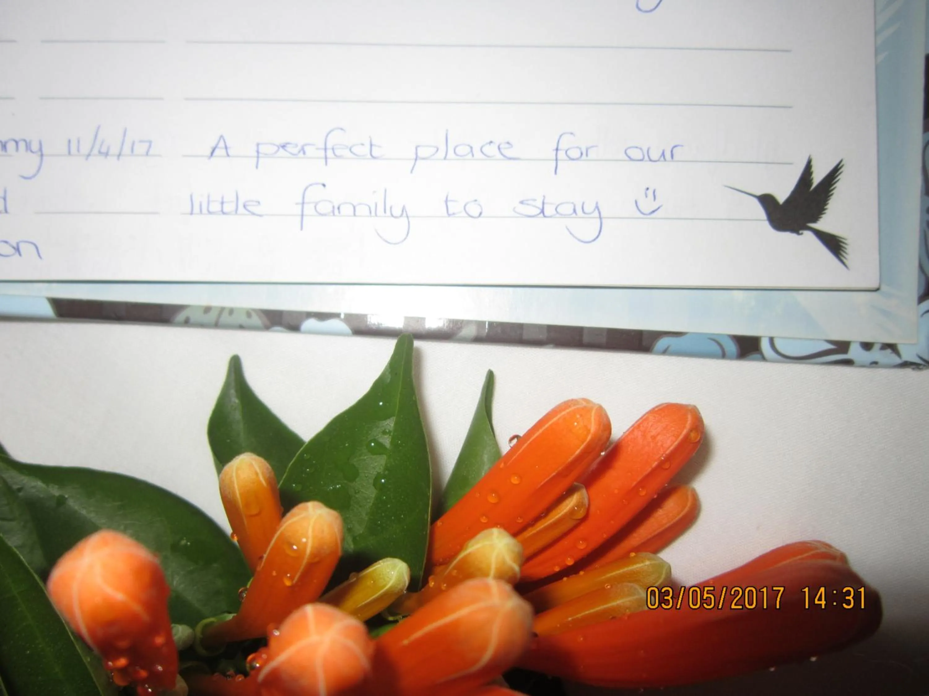 People in Twilight Cottage