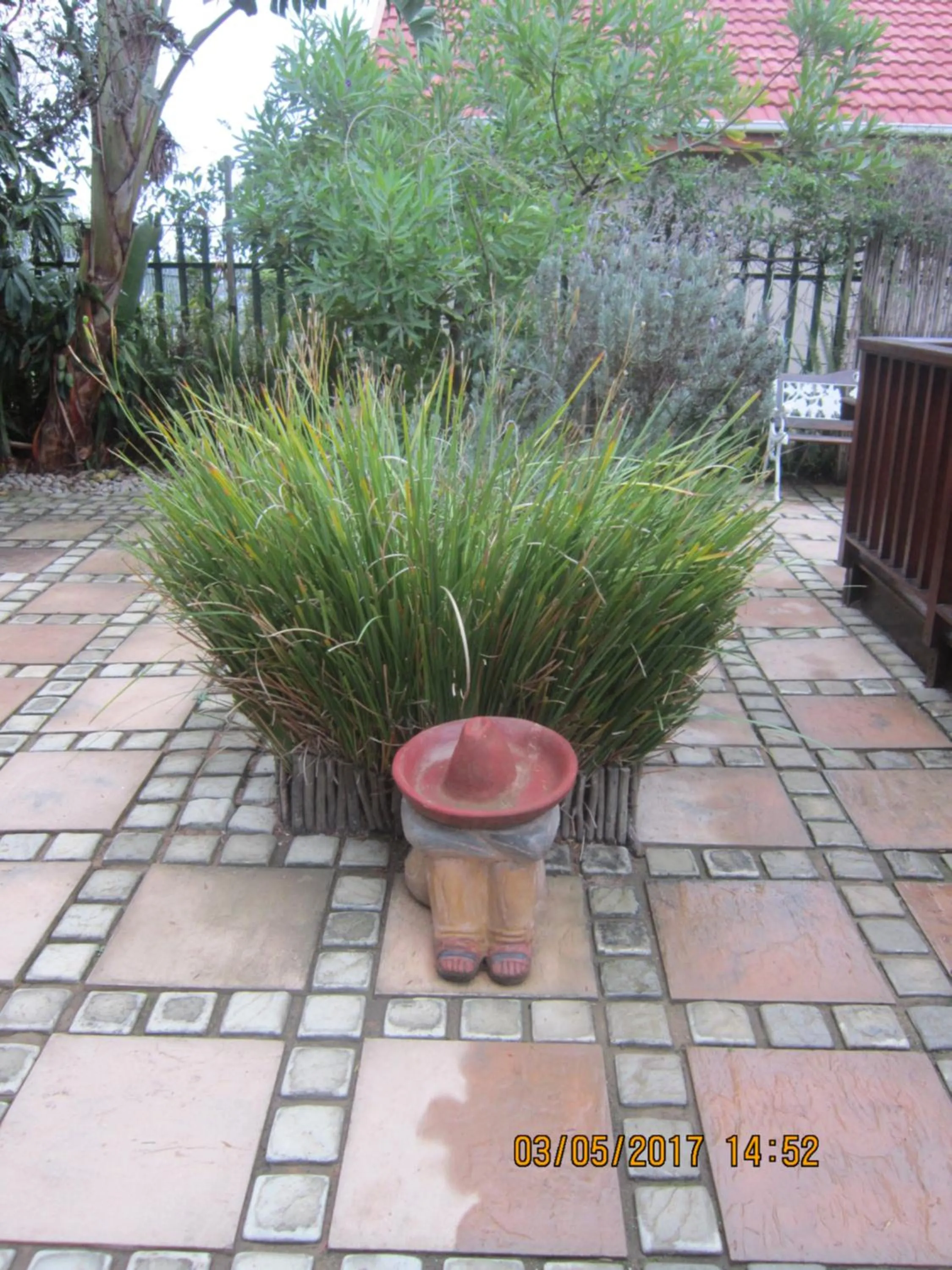Garden in Twilight Cottage