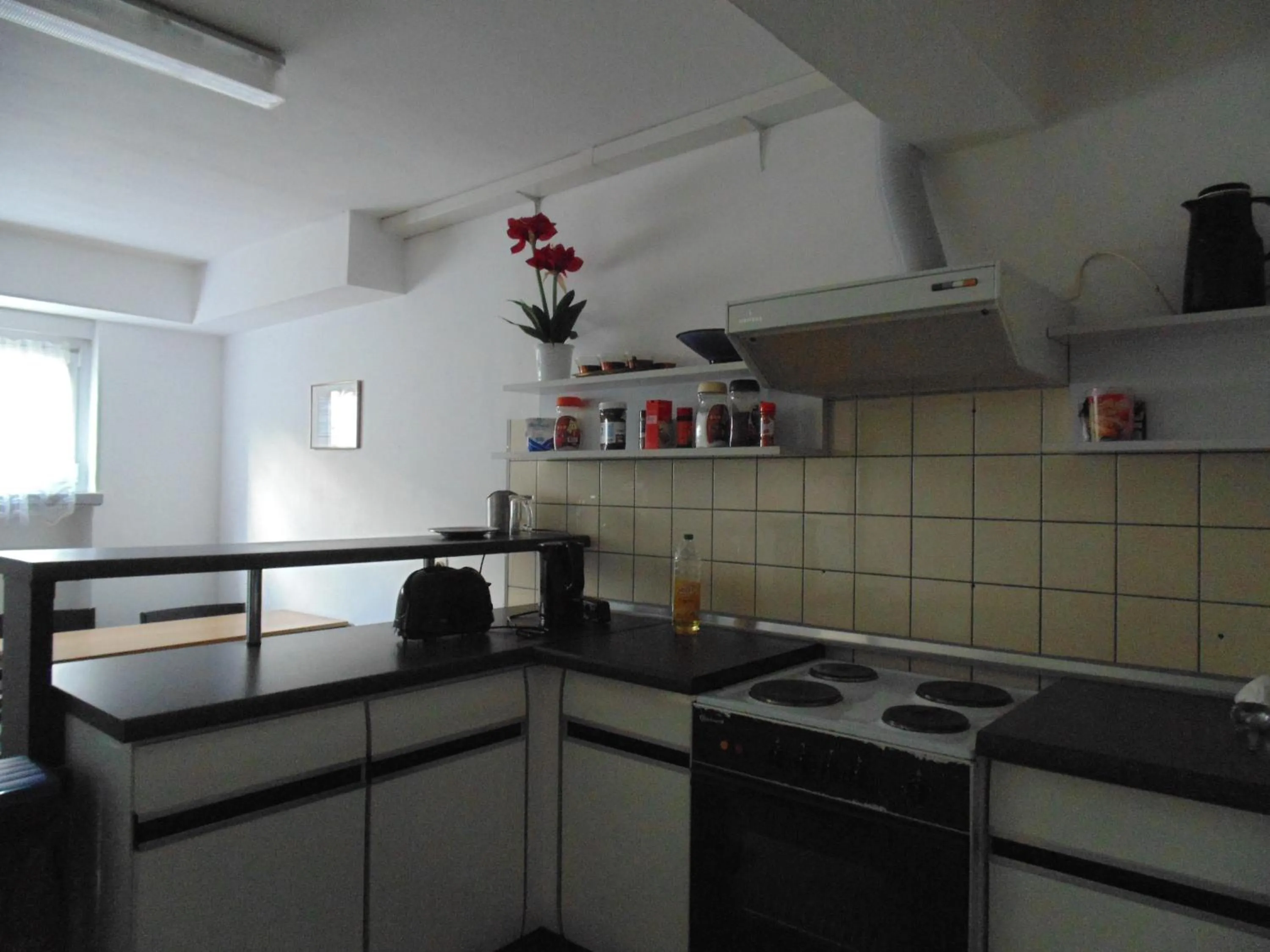 Communal kitchen in Hotel Seehaus