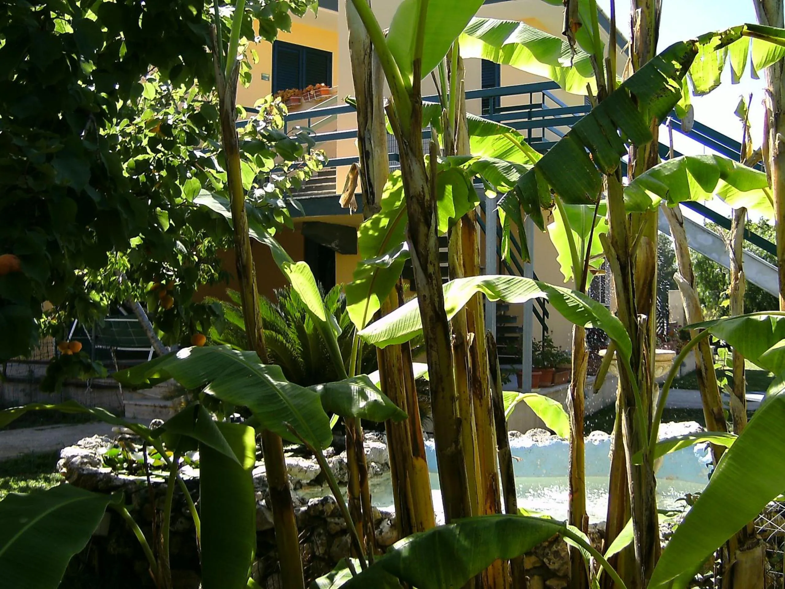 Garden in Vento Dell'Est