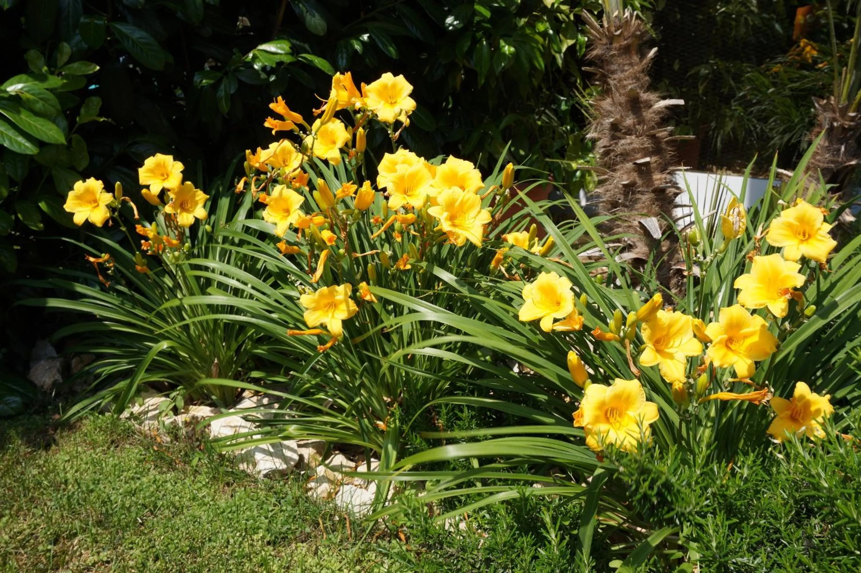 Facade/entrance in Residence Rivachiara (check-in at Hotel Riviera in Viale Rovereto, 95)