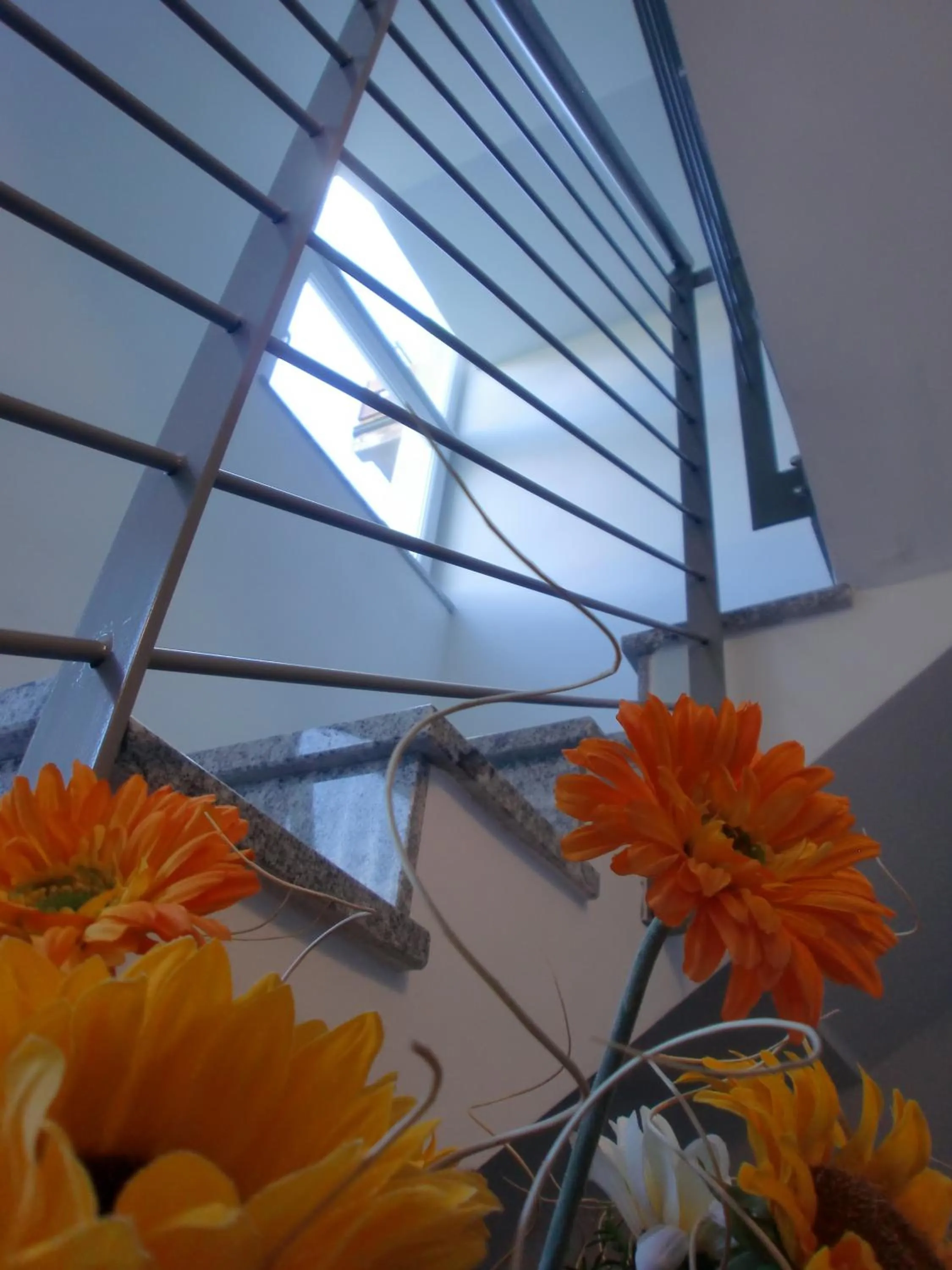 Lobby or reception in Residence Rivachiara (check-in at Hotel Riviera in Viale Rovereto, 95)