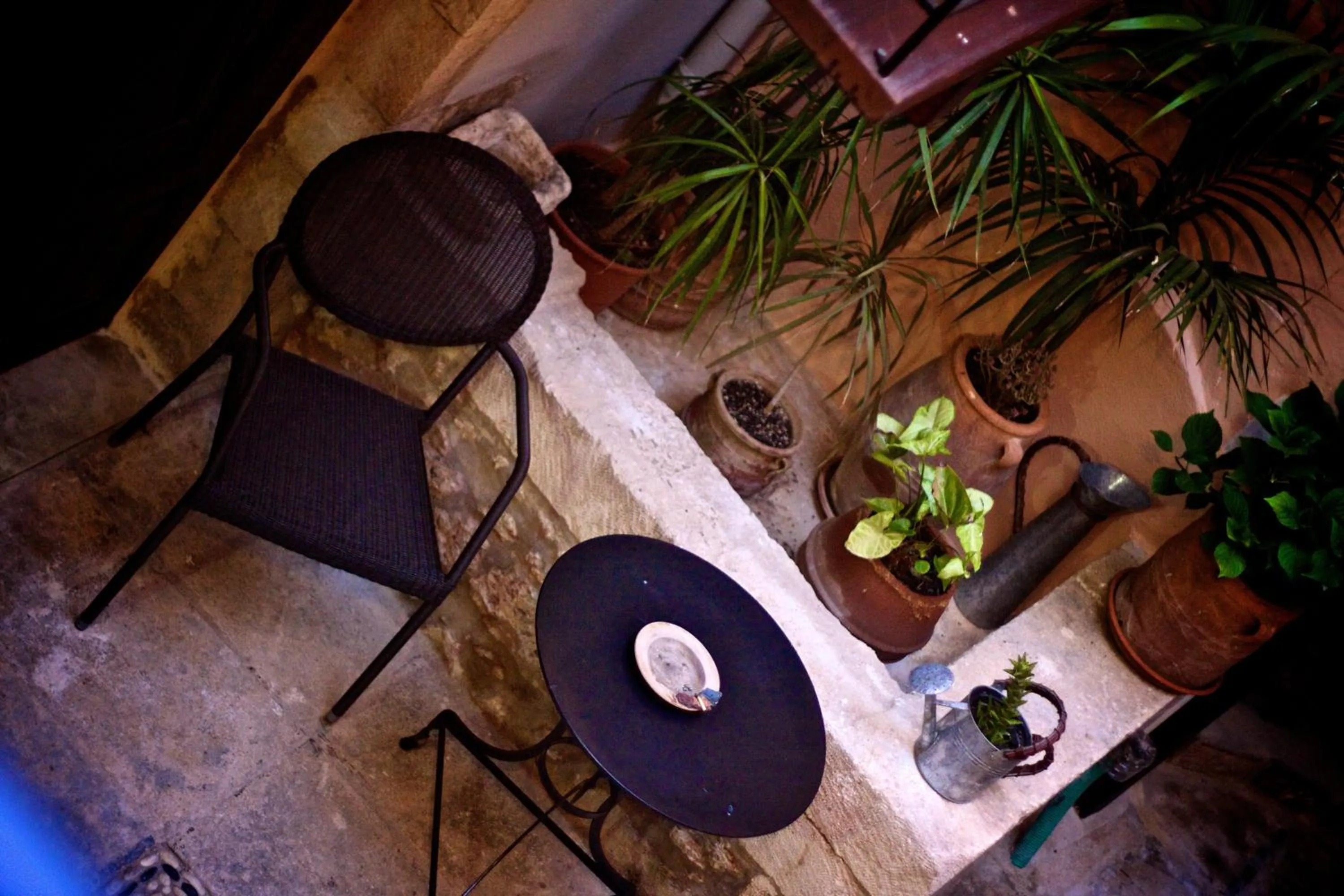 Patio in Casa Dei Delfini