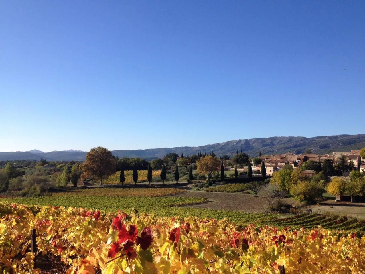 Neighbourhood in Oustau du Ventoux
