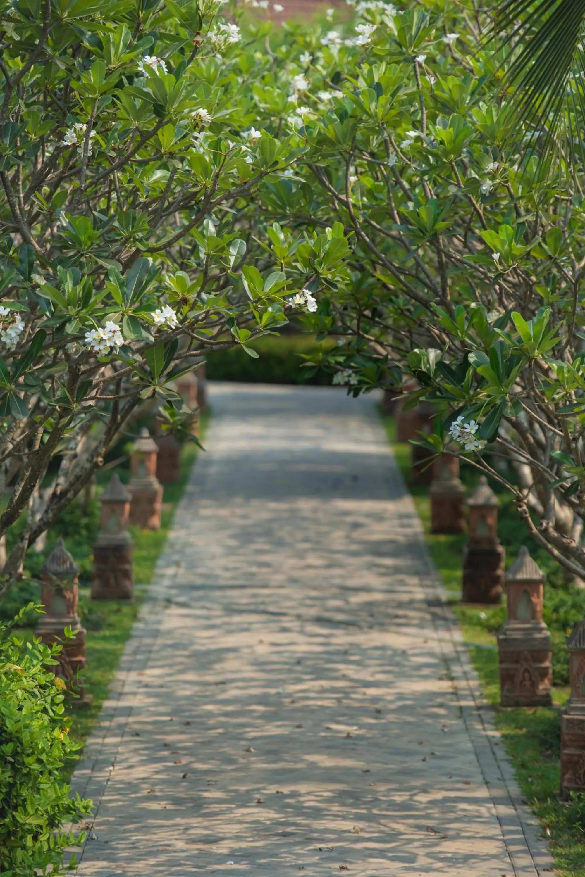 Garden in Angkor Palace Resort & Spa