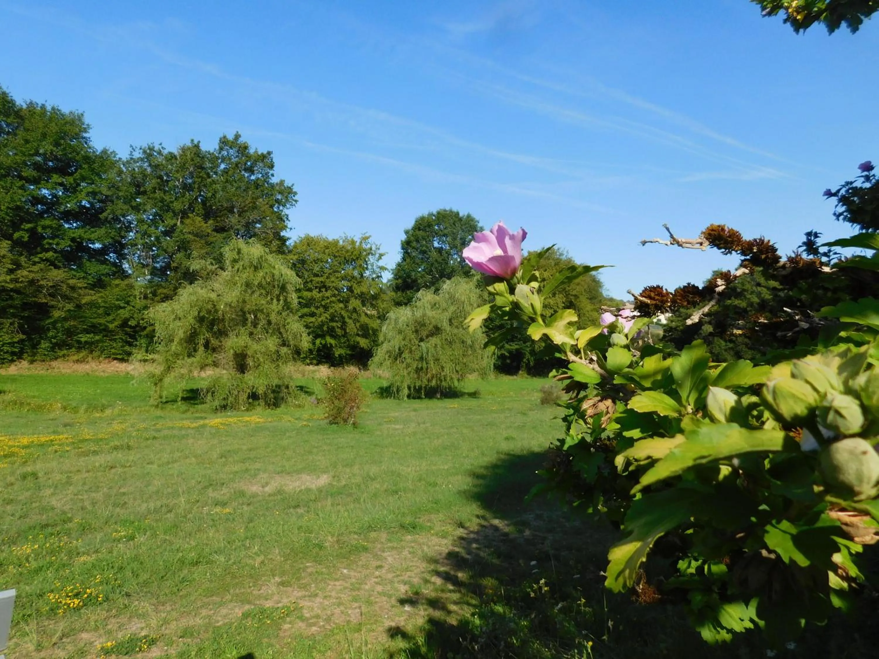 Garden view in Du coq à l'âme