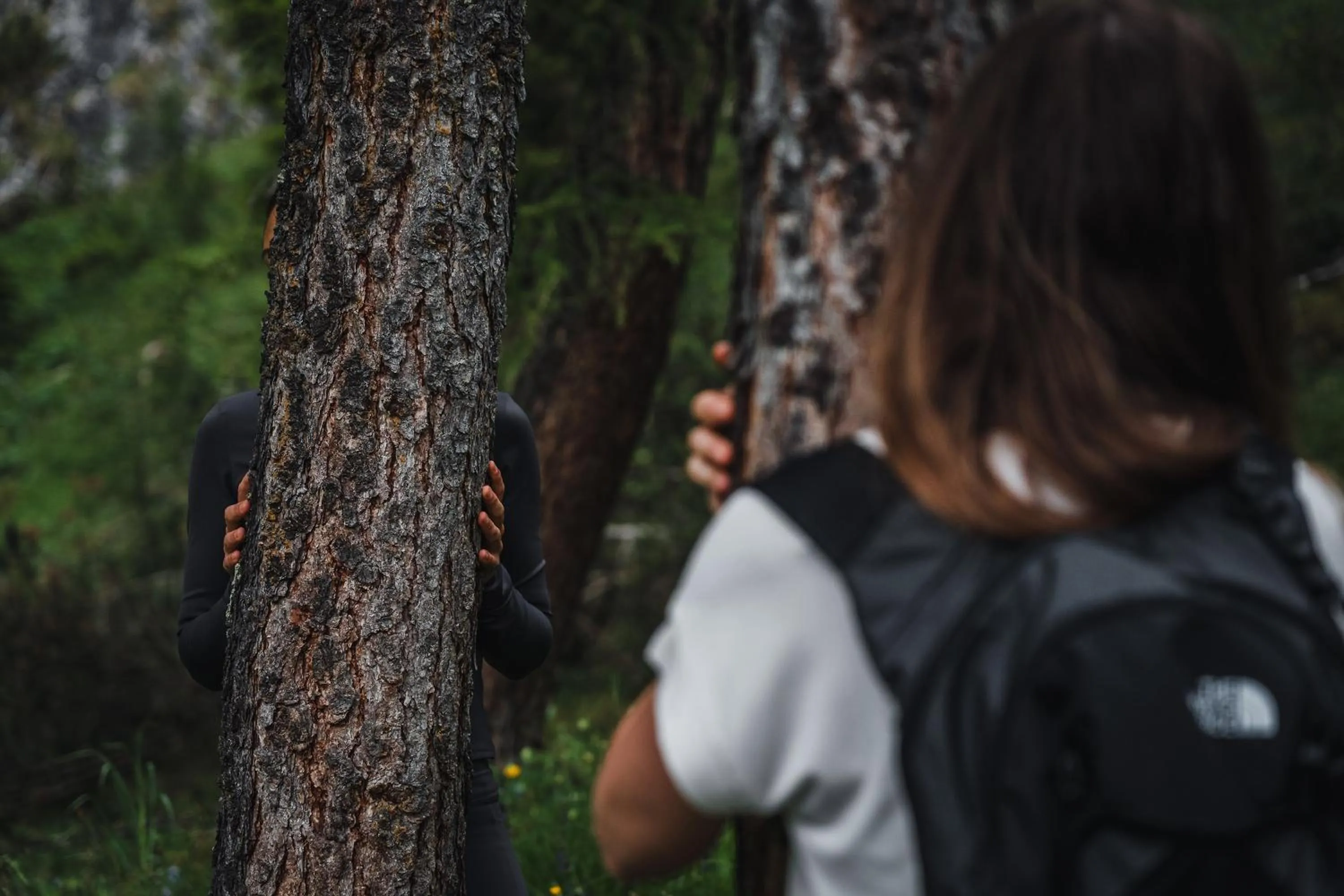 Natural landscape in Hotel Ciasa Soleil