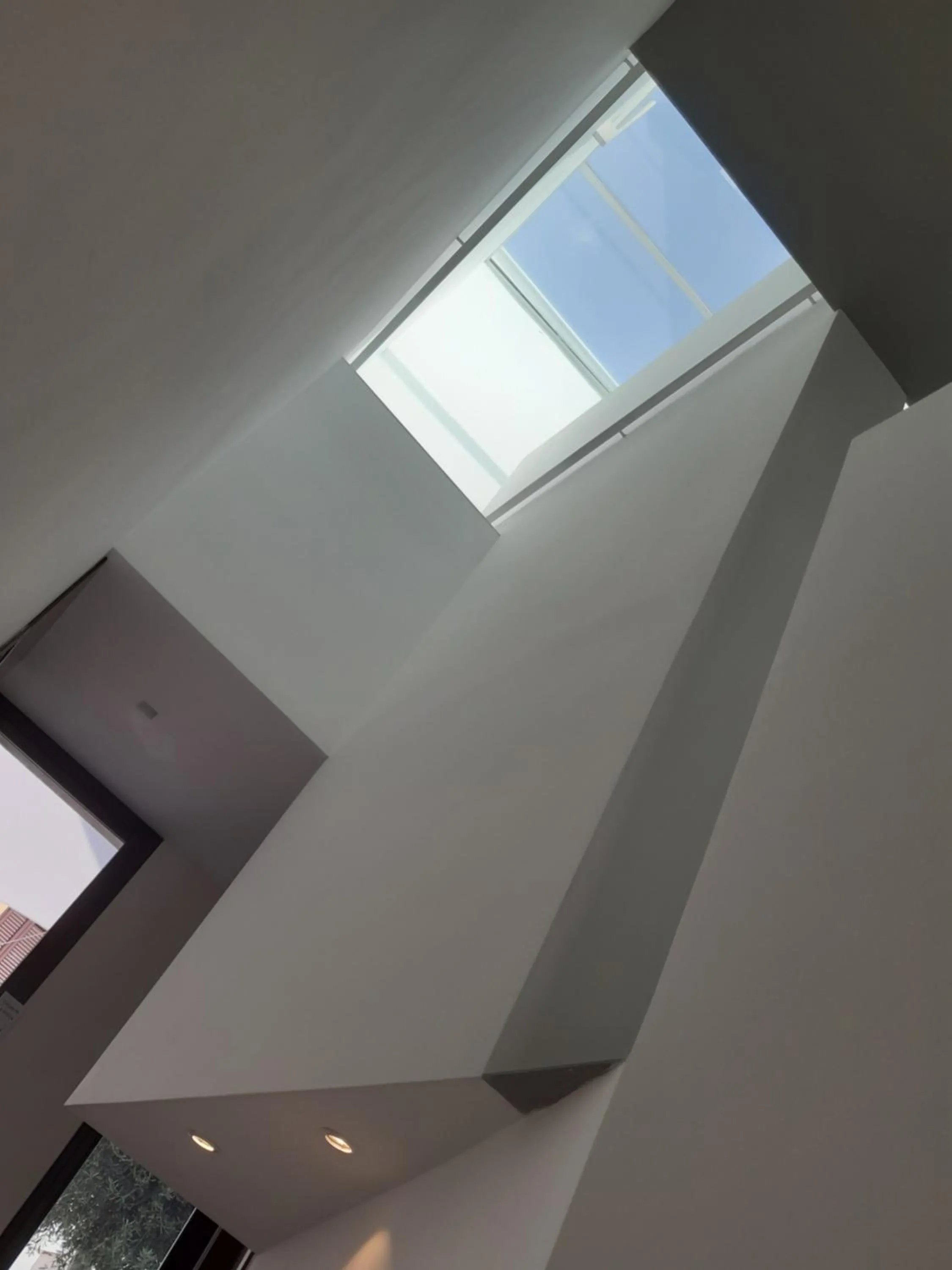 Lobby or reception in Patio 101 "Exclusive"