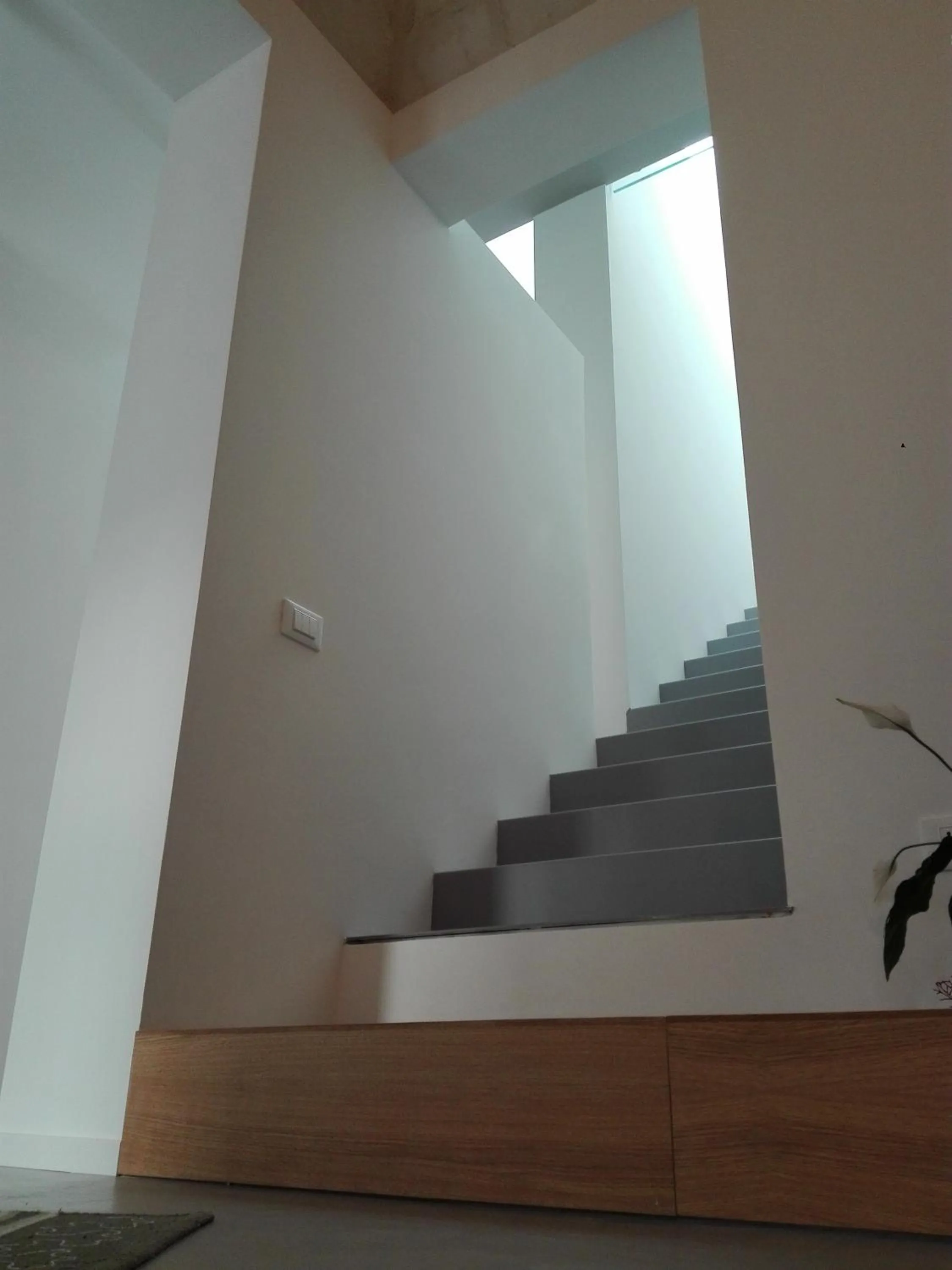 Lobby or reception in Patio 101 "Exclusive"