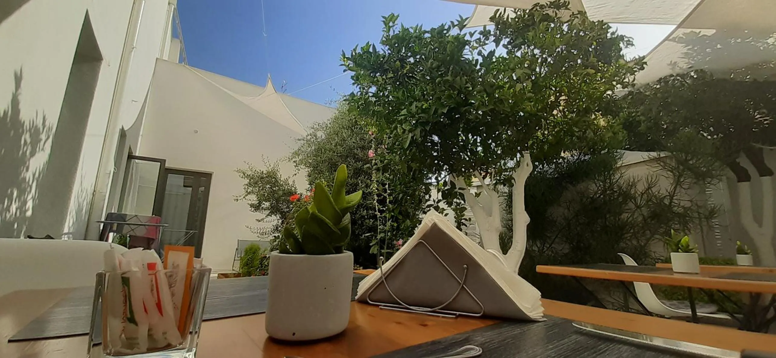 Patio in Patio 101 "Exclusive"