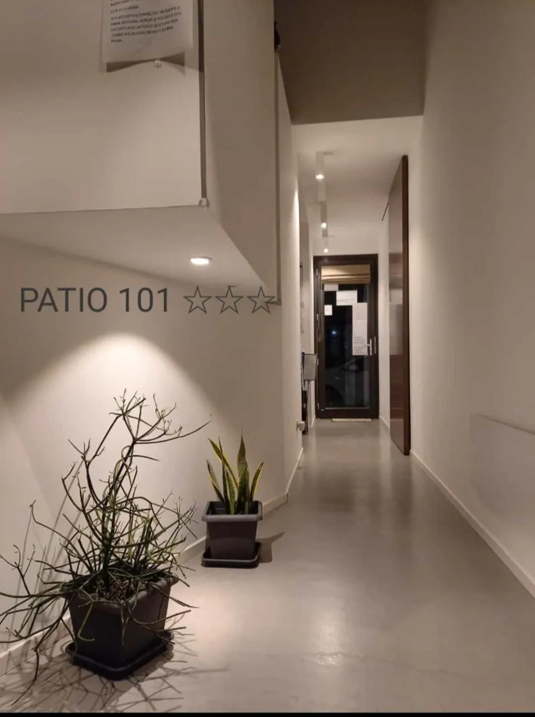 Lobby or reception in Patio 101 "Exclusive"