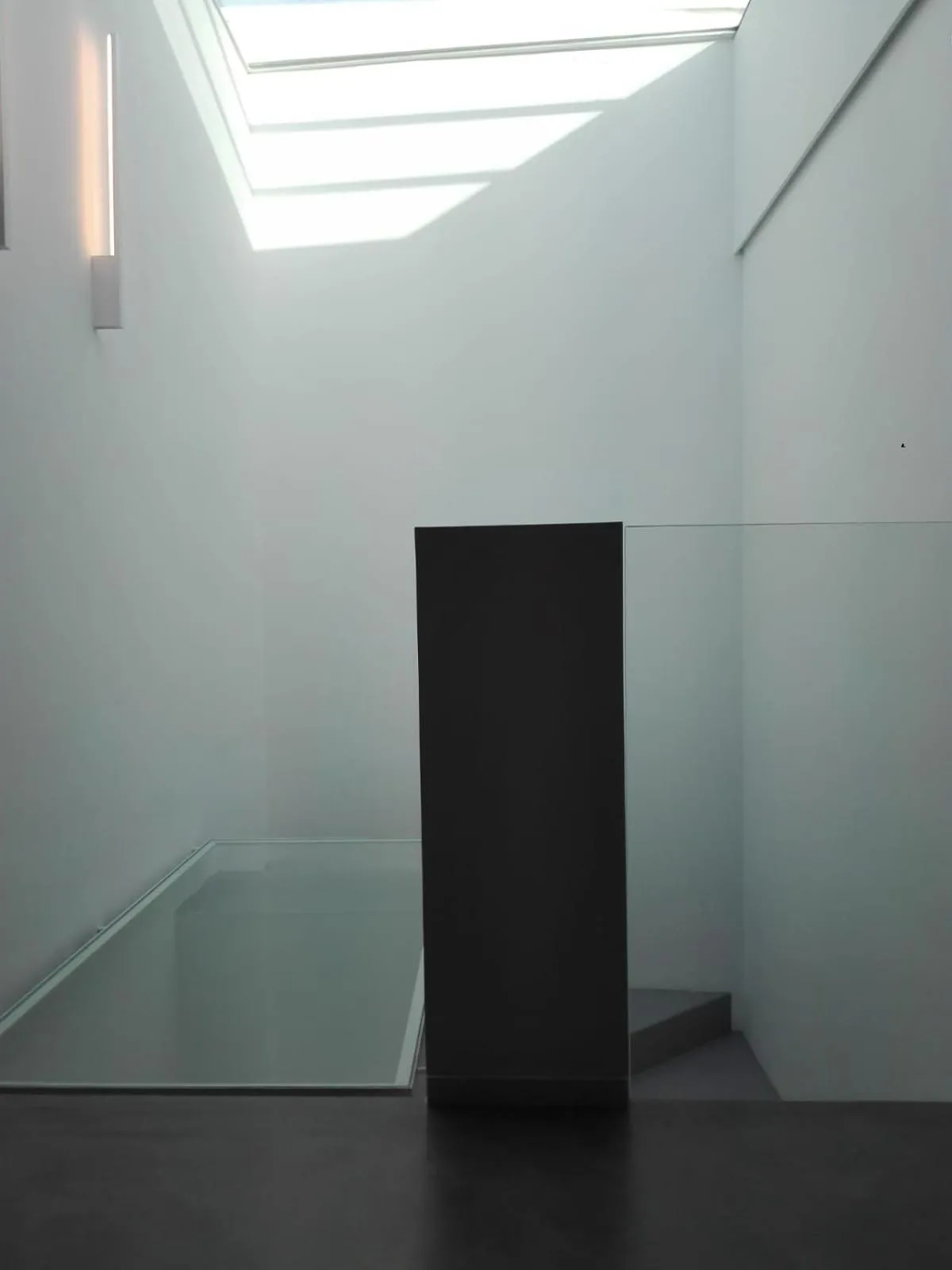 Area and facilities in Patio 101 "Exclusive"