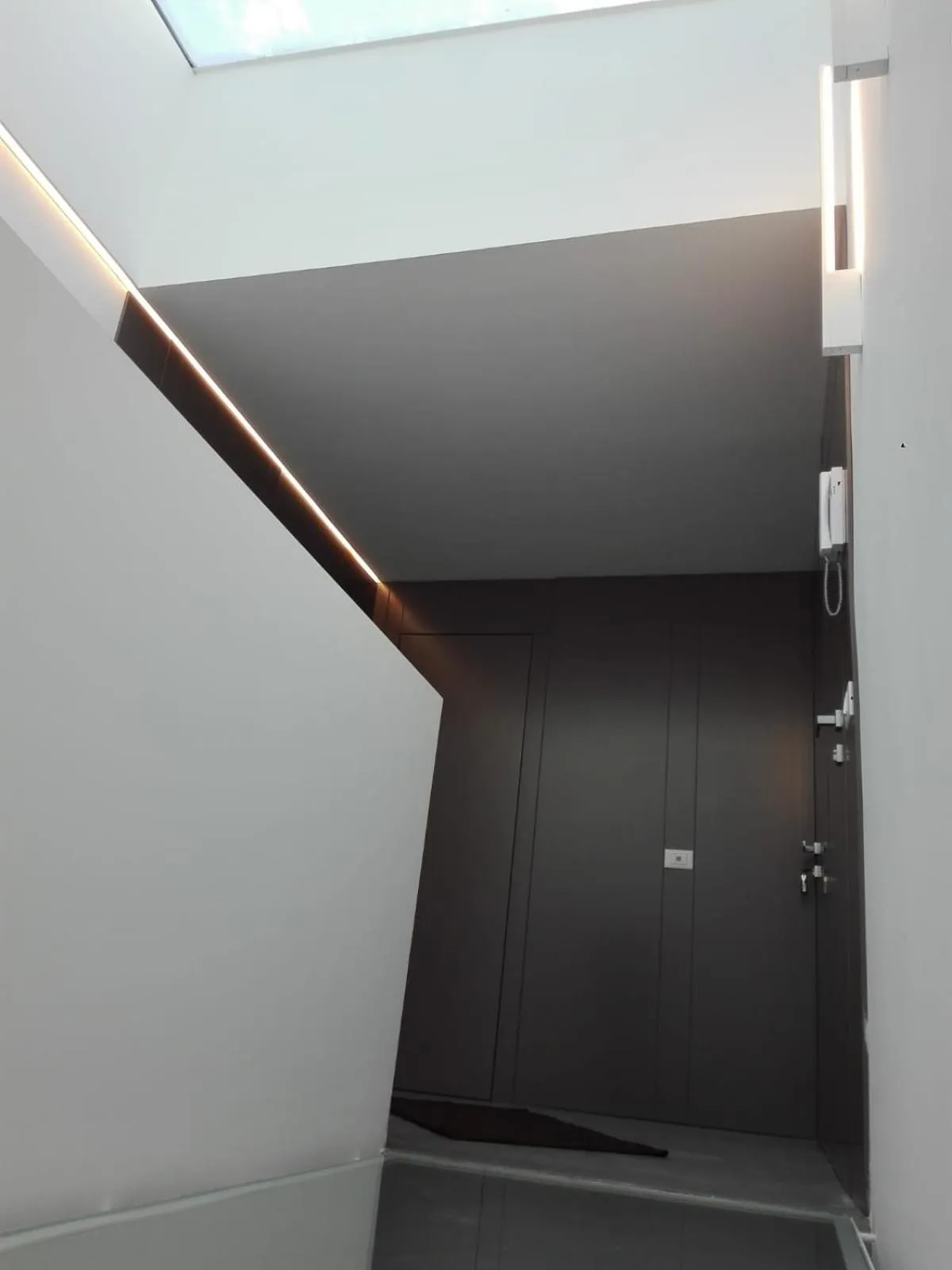 Patio 101 "Exclusive"