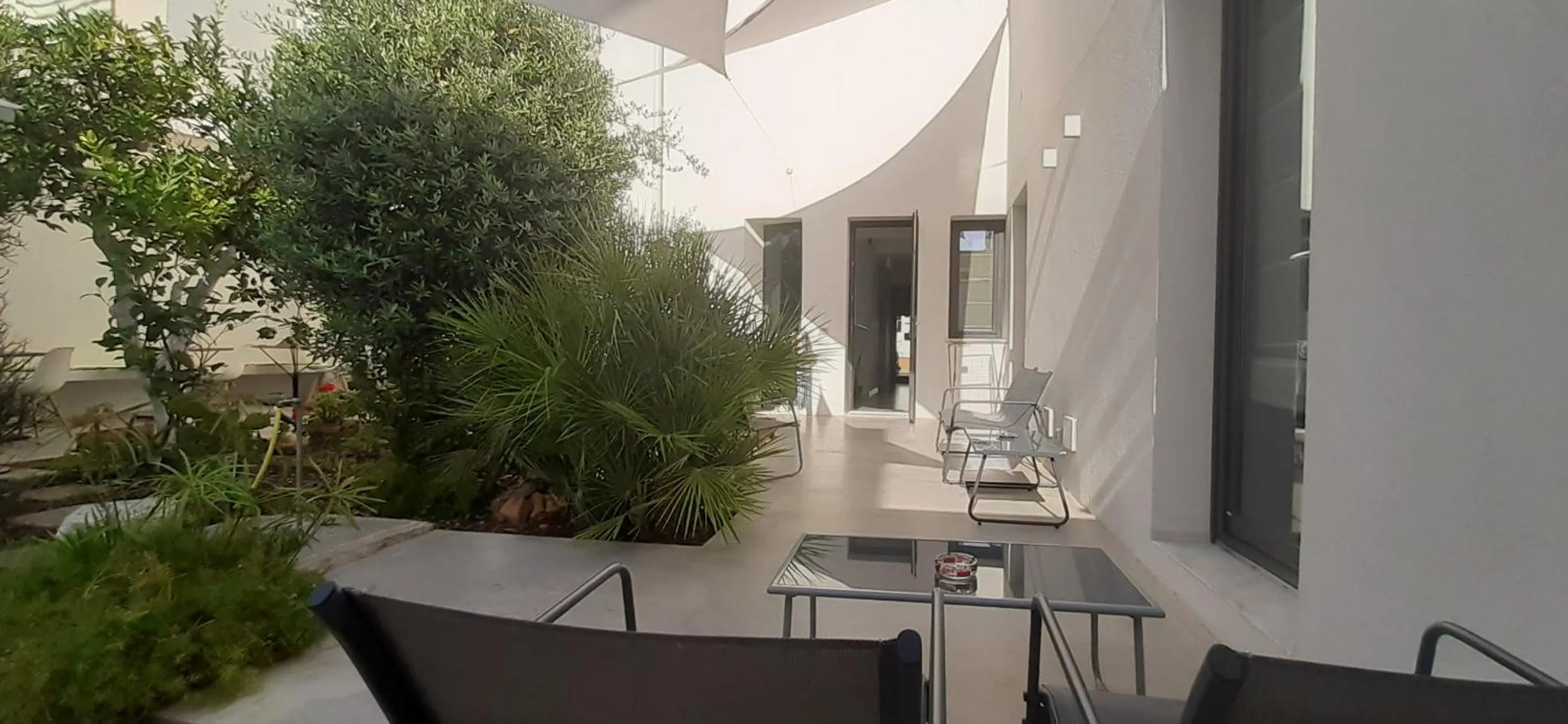 Patio in Patio 101 "Exclusive"