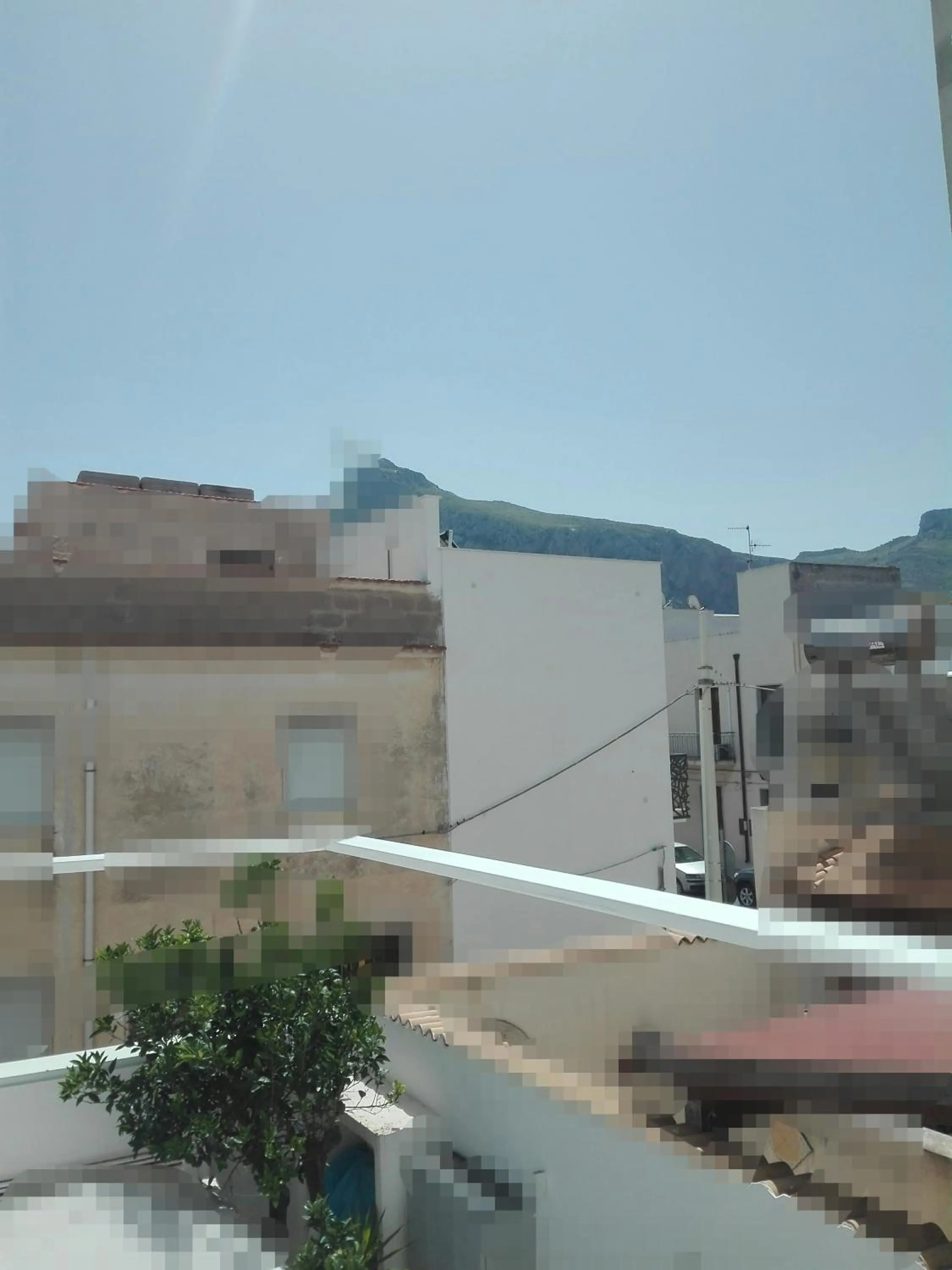 Garden in Patio 101 "Exclusive"