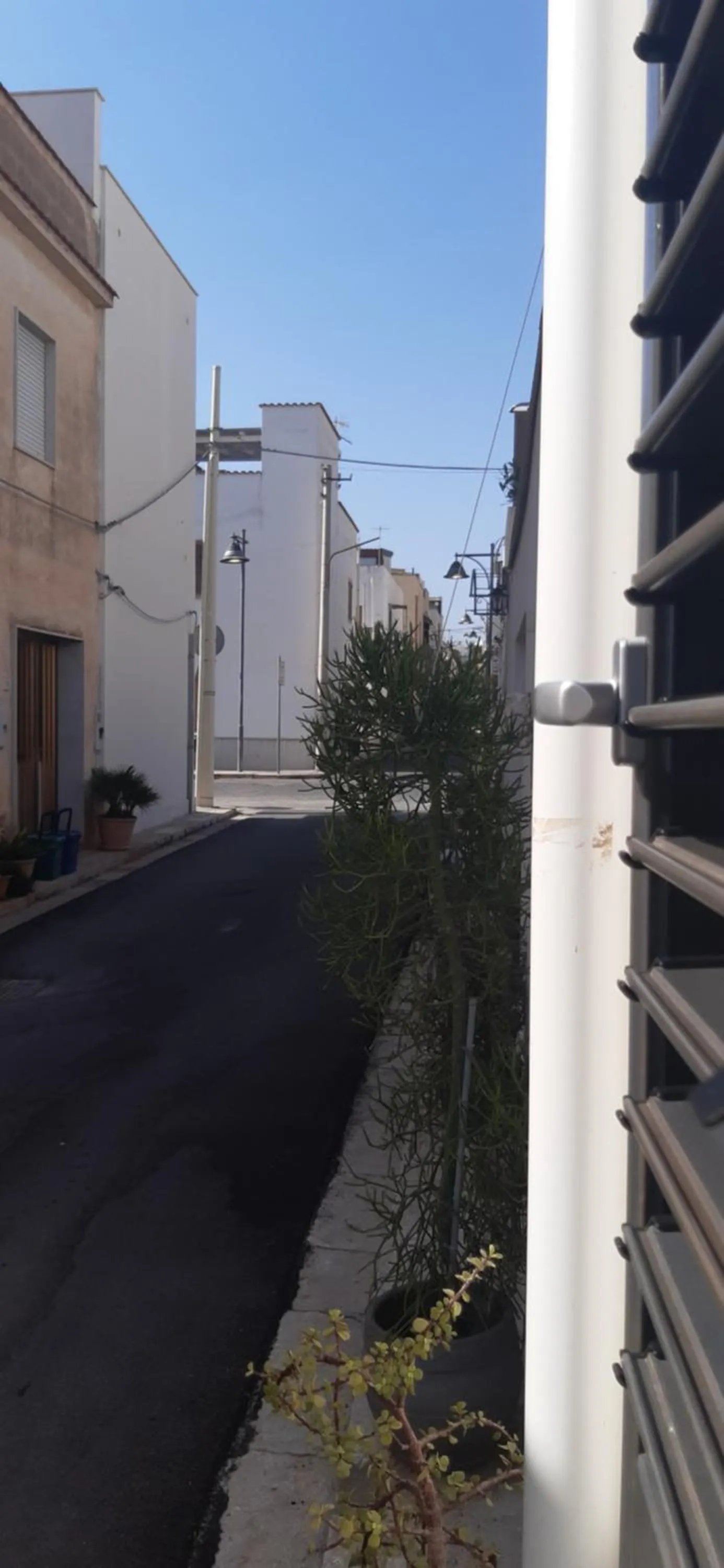 Property building in Patio 101 "Exclusive"