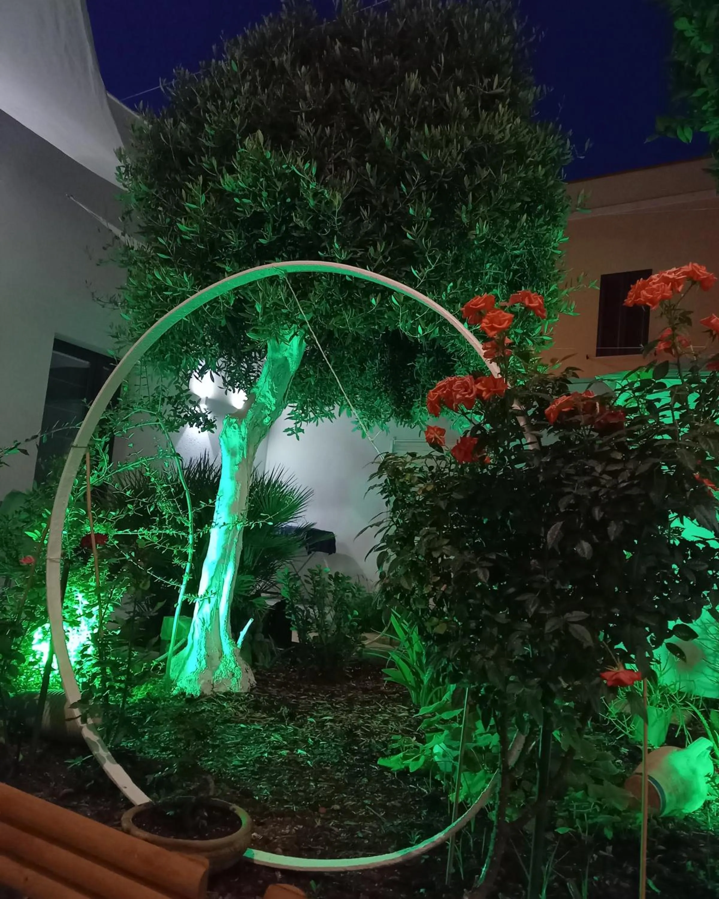 Night in Patio 101 "Exclusive"