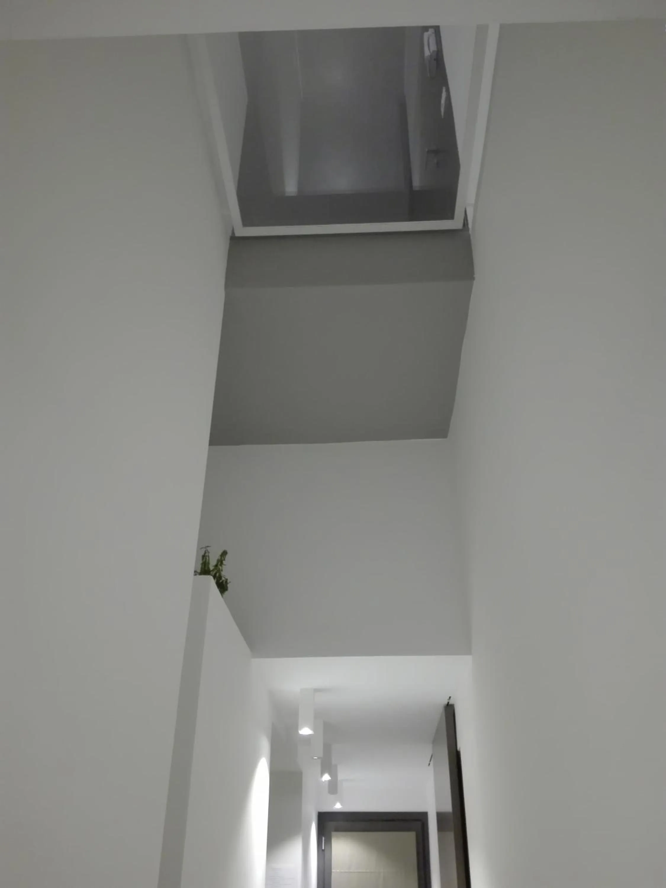 Lobby or reception in Patio 101 "Exclusive"