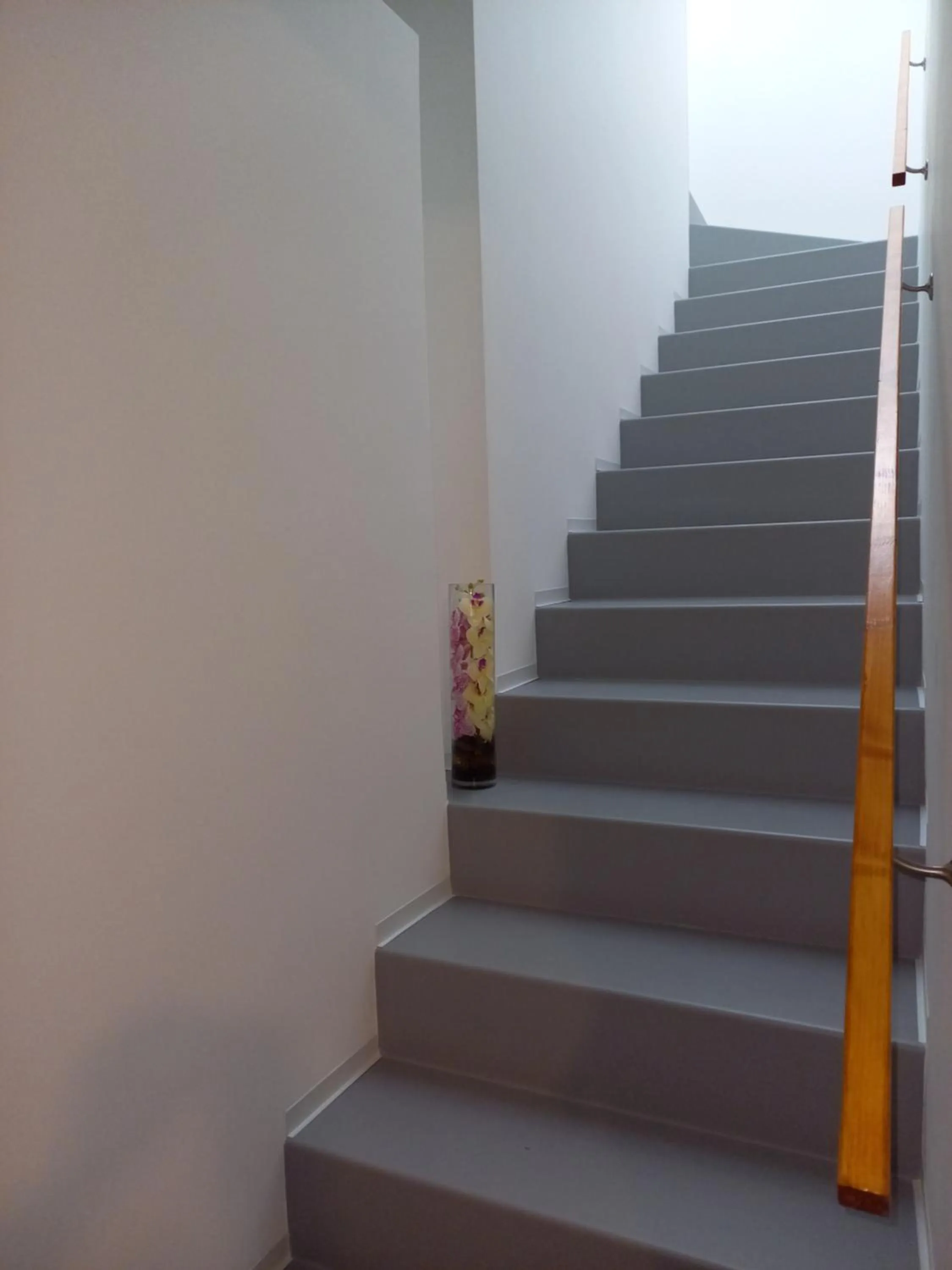 Lobby or reception in Patio 101 "Exclusive"