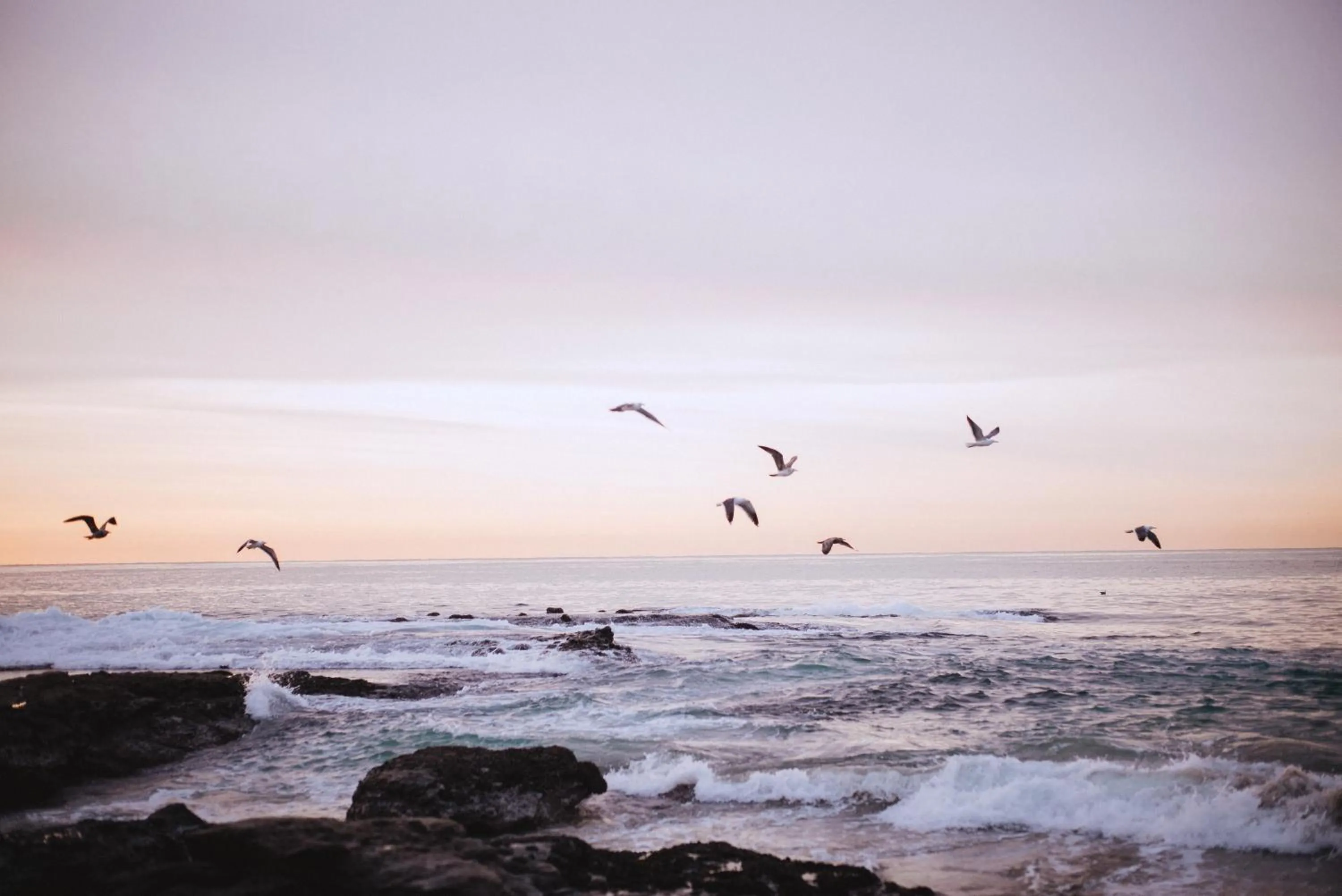 Natural landscape in Hotel Joaquin