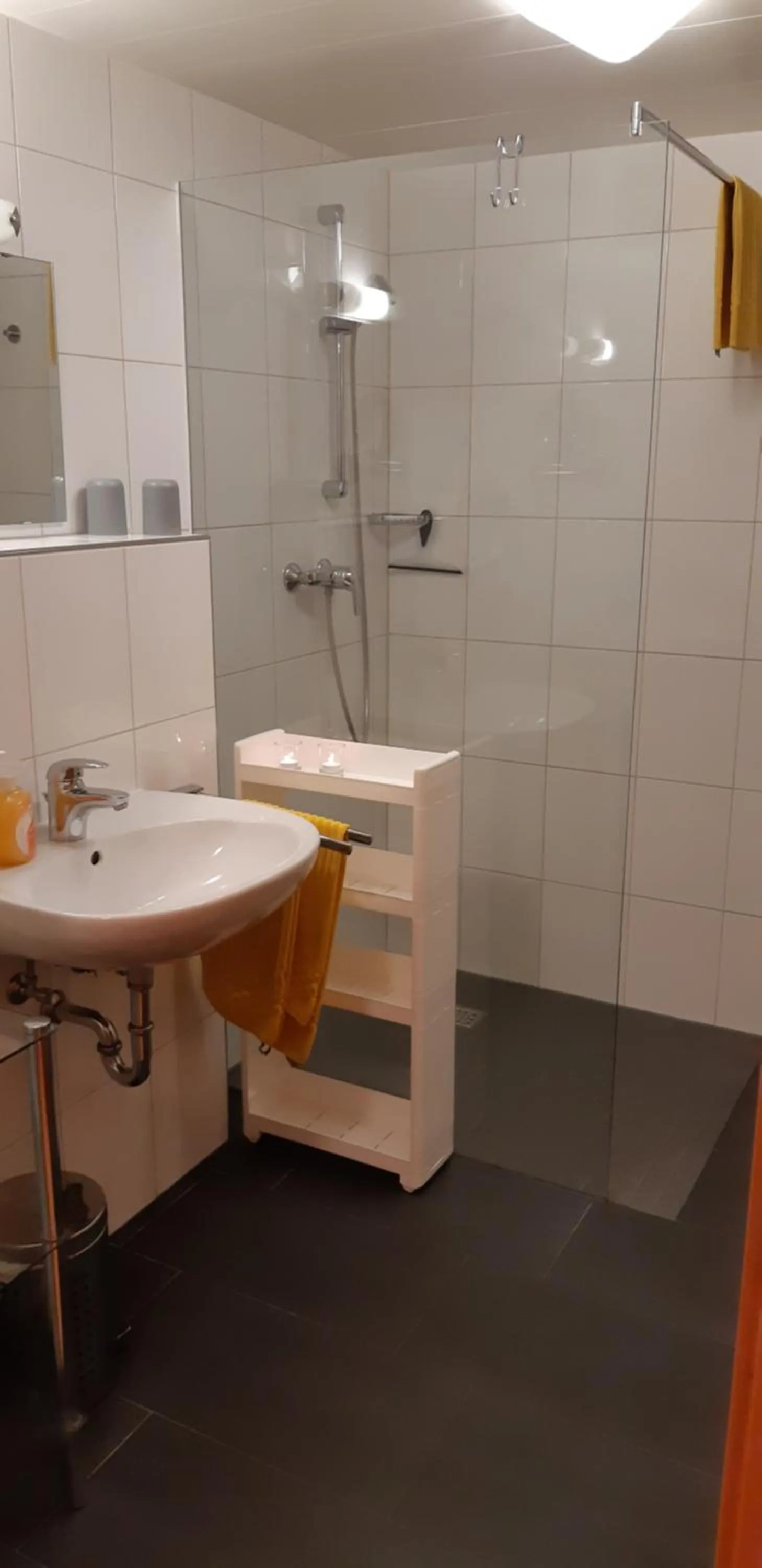 Bathroom in Haus Annette