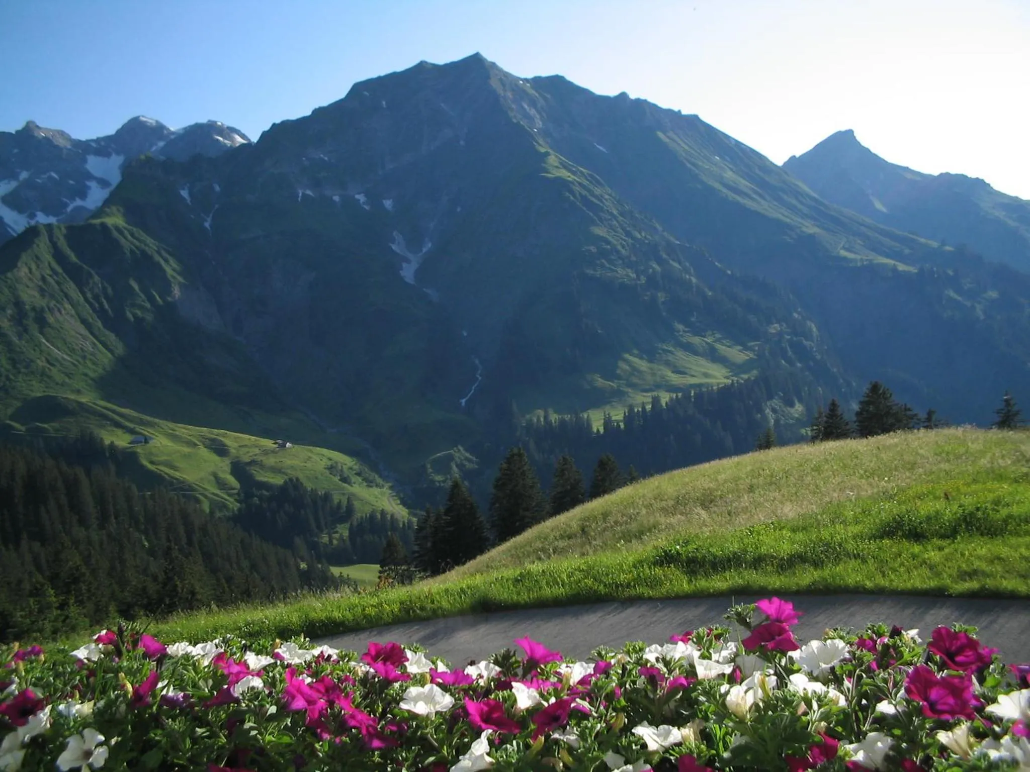 View (from property/room) in Haus Annette