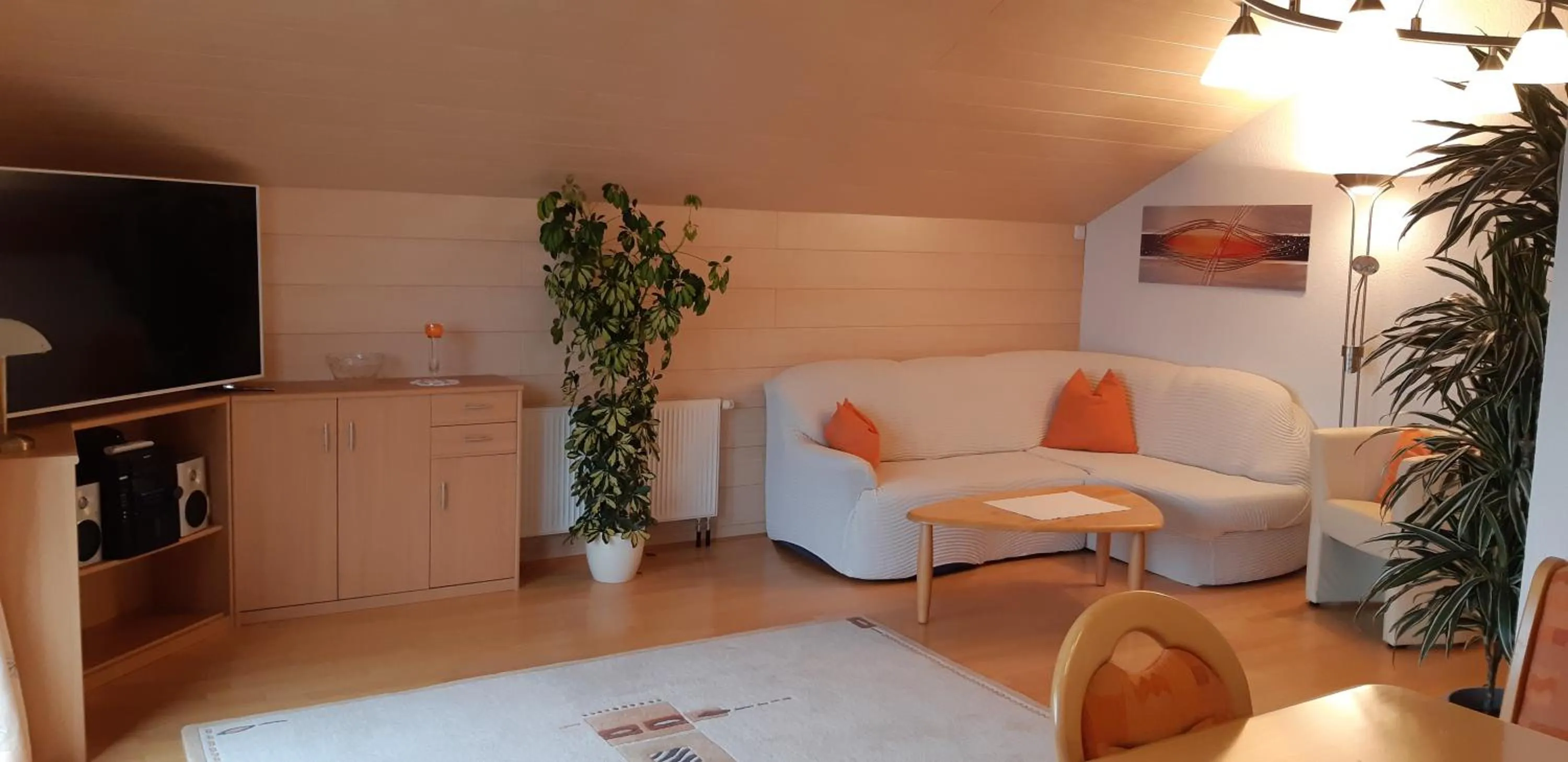 TV and multimedia in Haus Annette