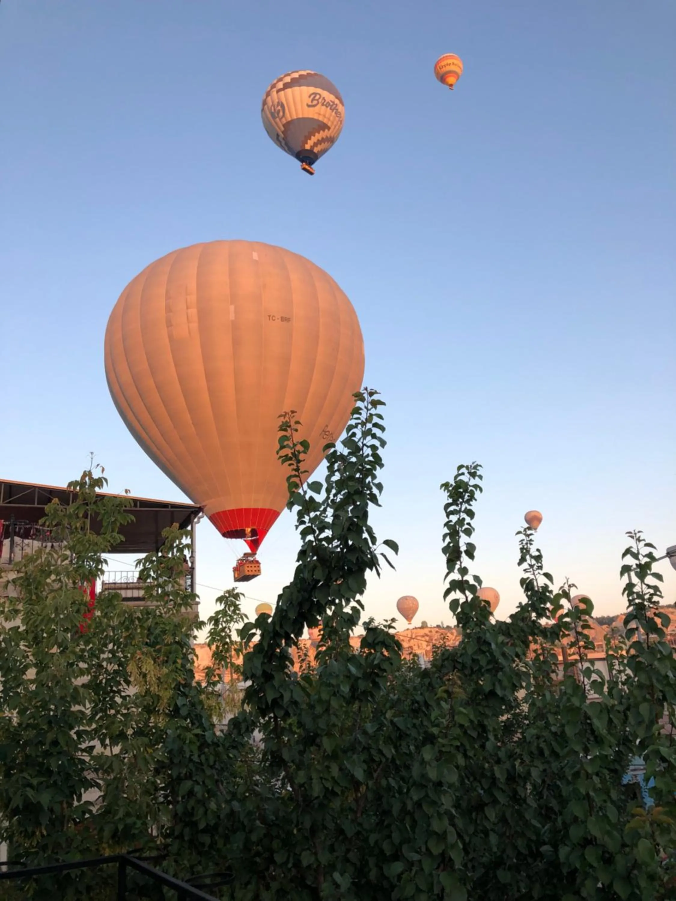 Garden in Gerdis Evi