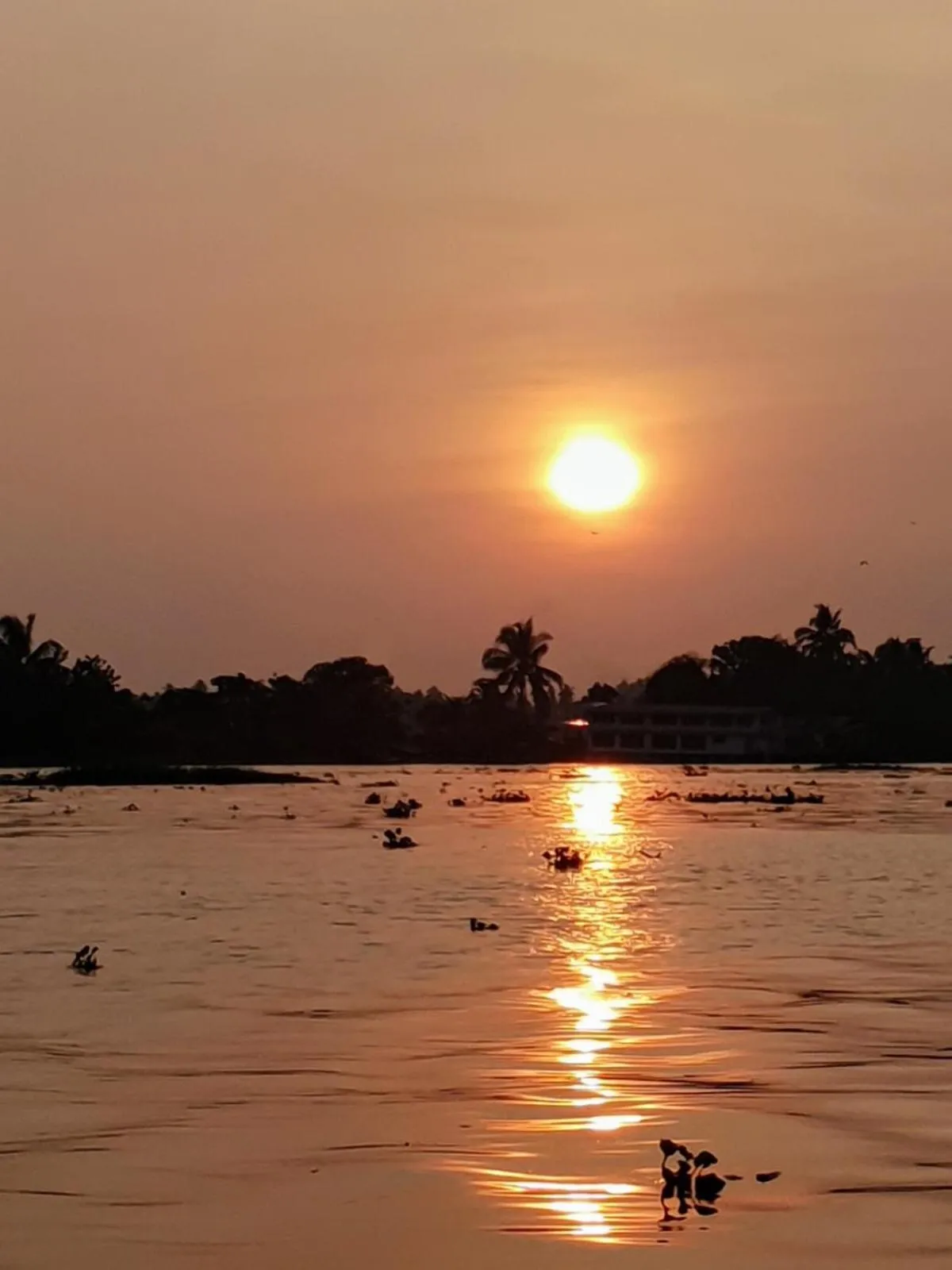 The Lake Paradise Boutique Resort