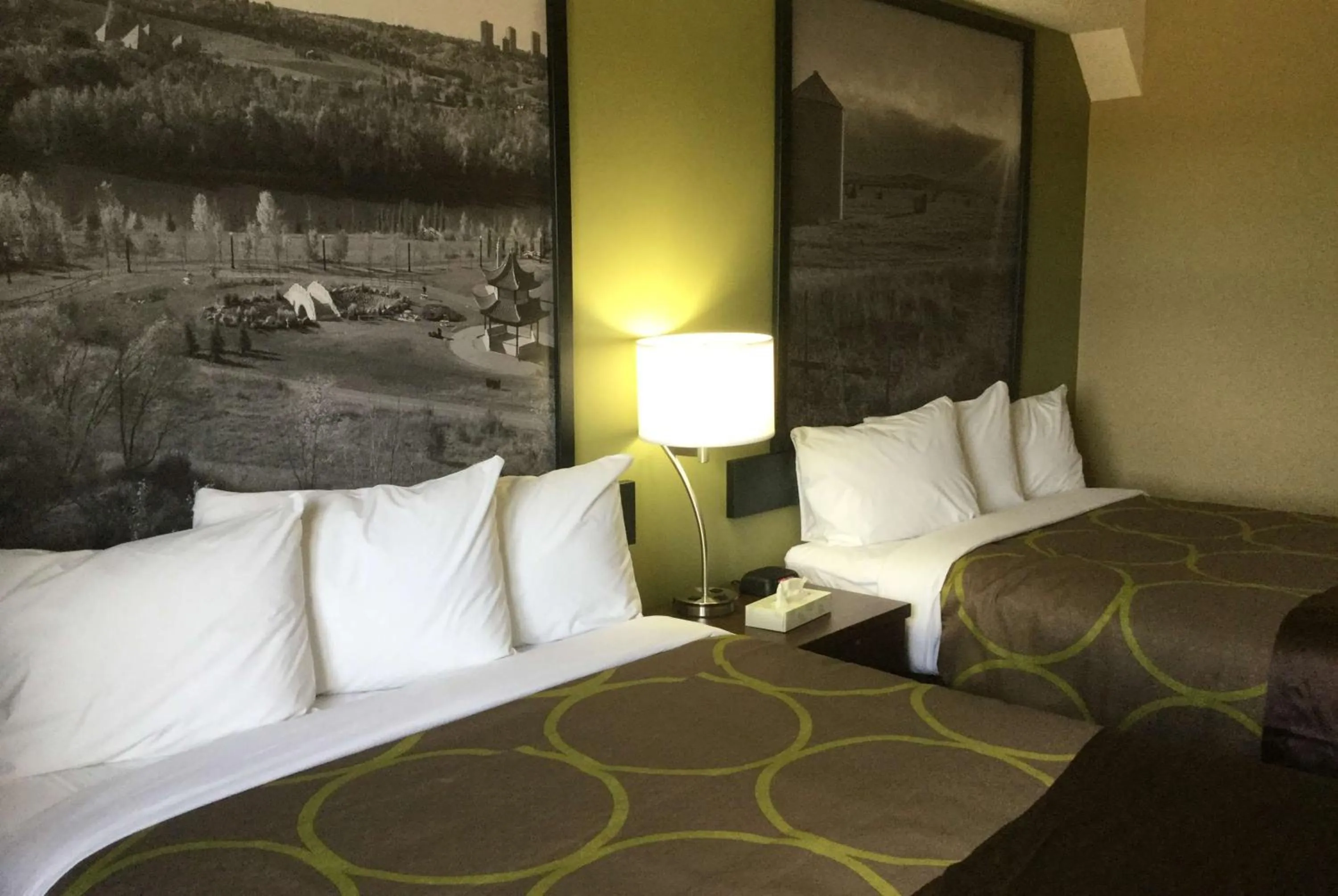 Photo of the whole room, Bed in Super 8 by Wyndham Hardisty