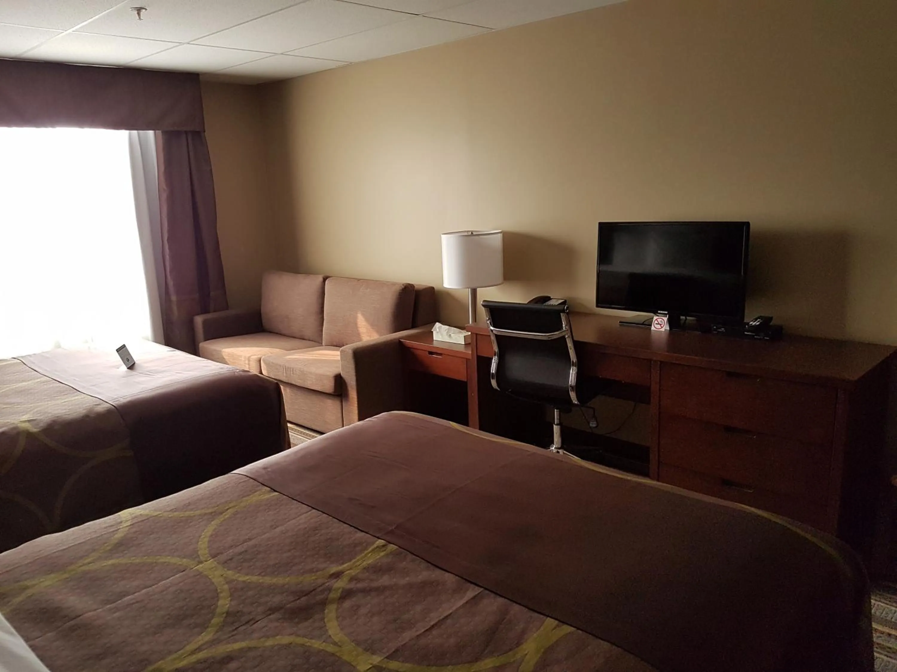 Bed in Super 8 by Wyndham Hardisty