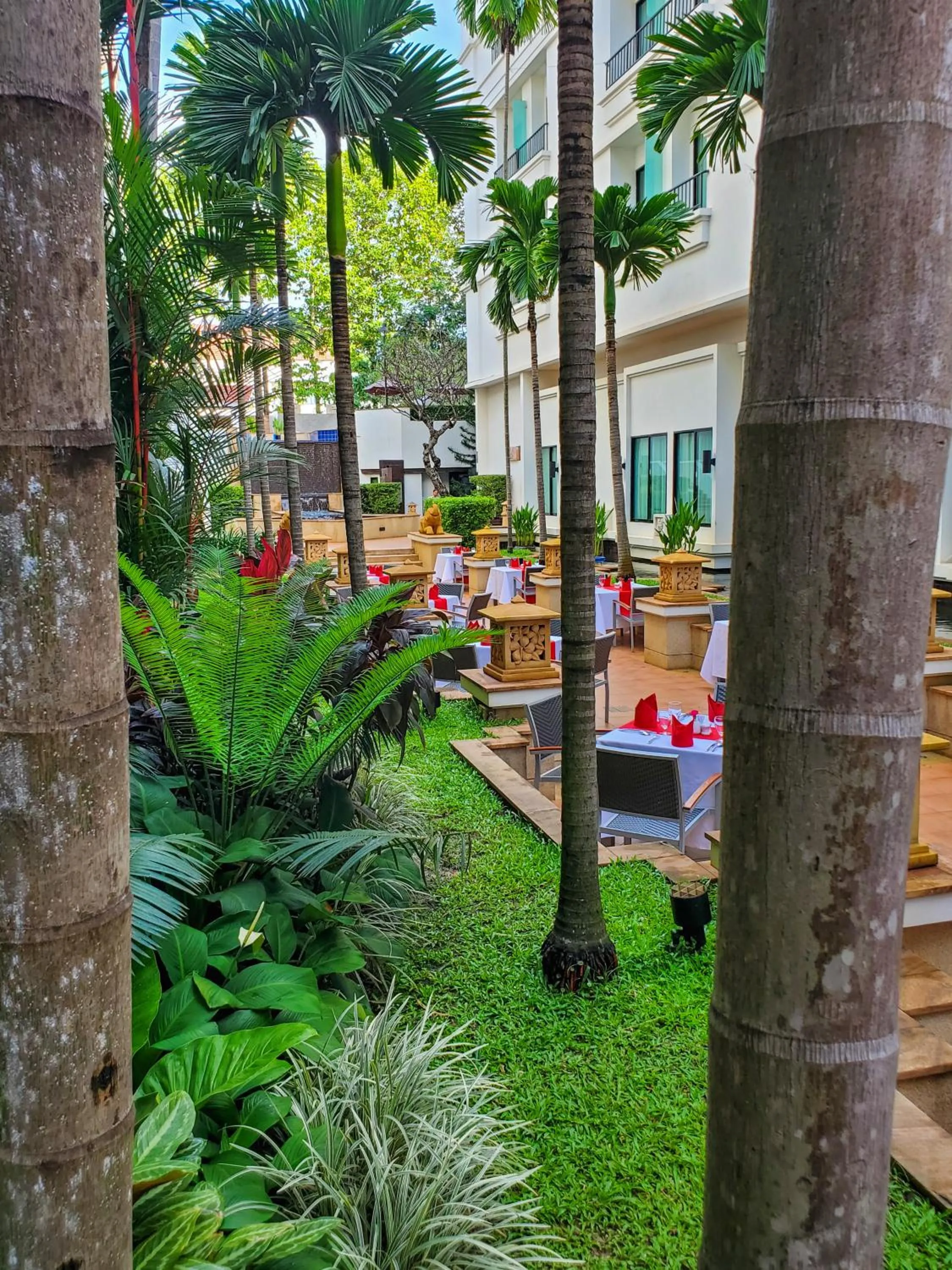 City view in Tara Angkor Hotel