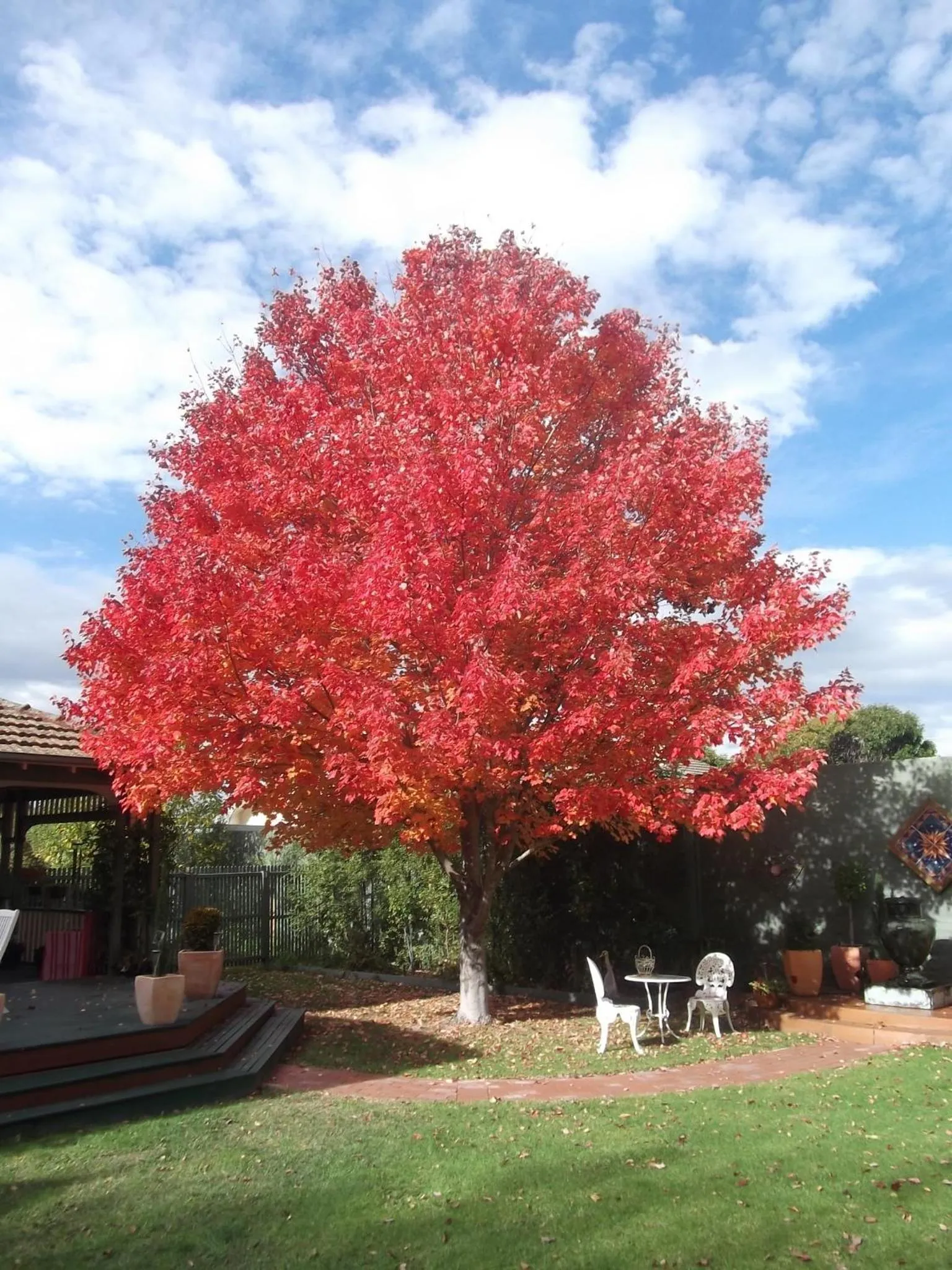 Garden in Dalfruin B&B
