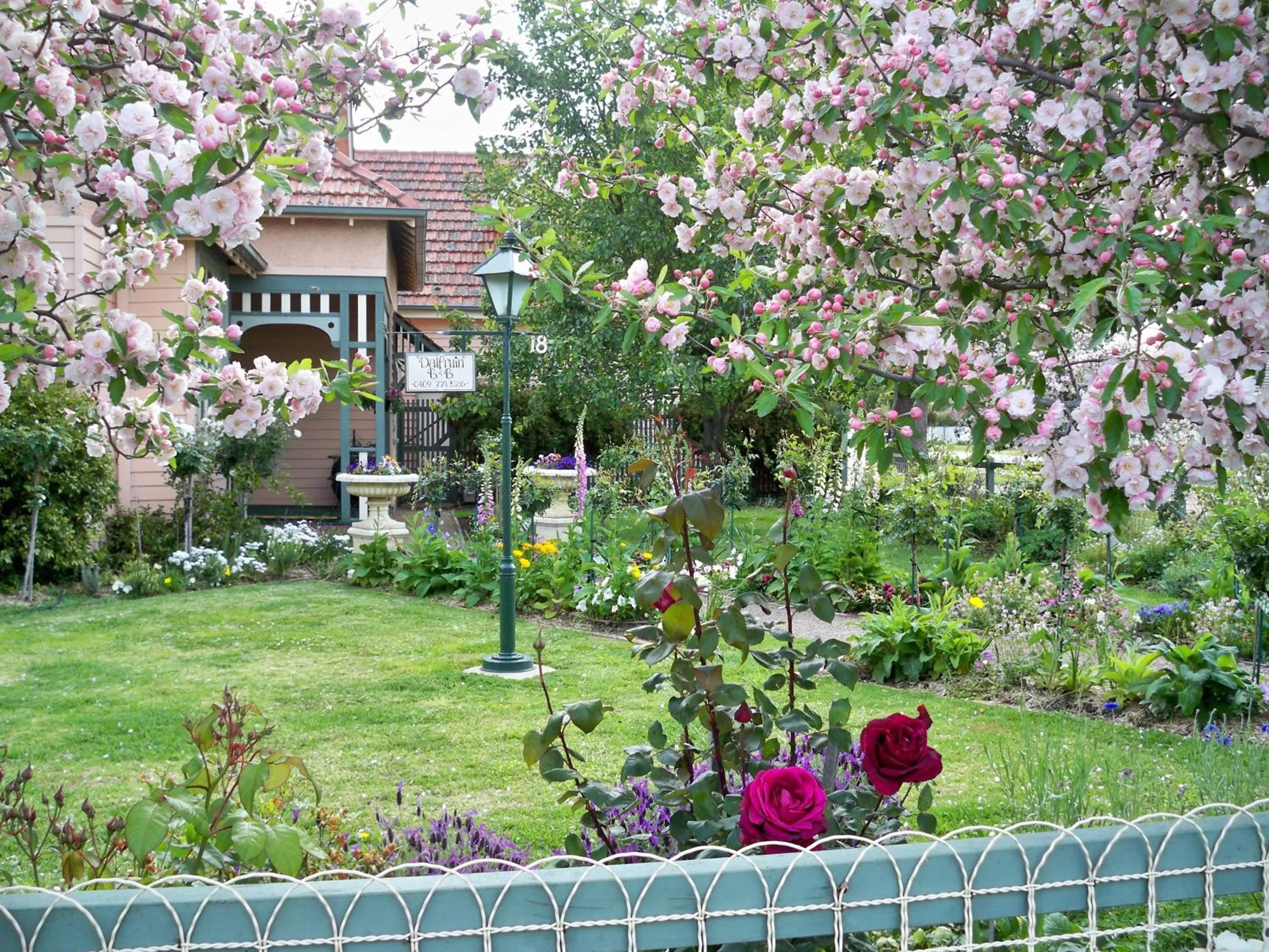 Garden in Dalfruin B&B