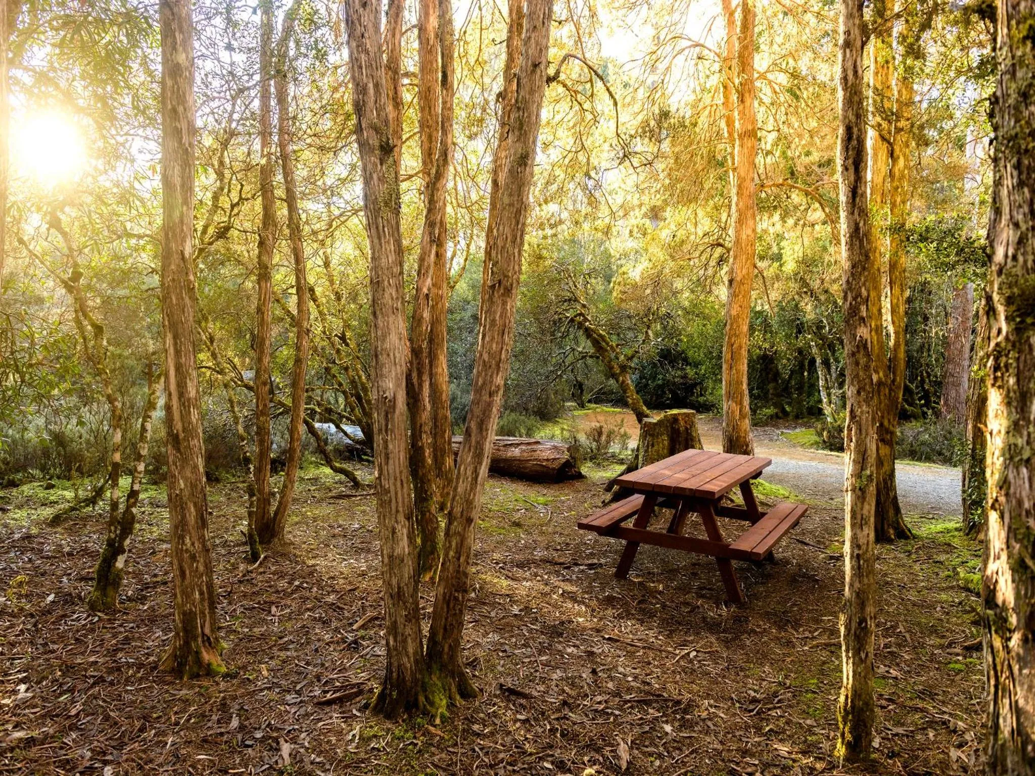 BBQ facilities in Discovery Parks - Cradle Mountain
