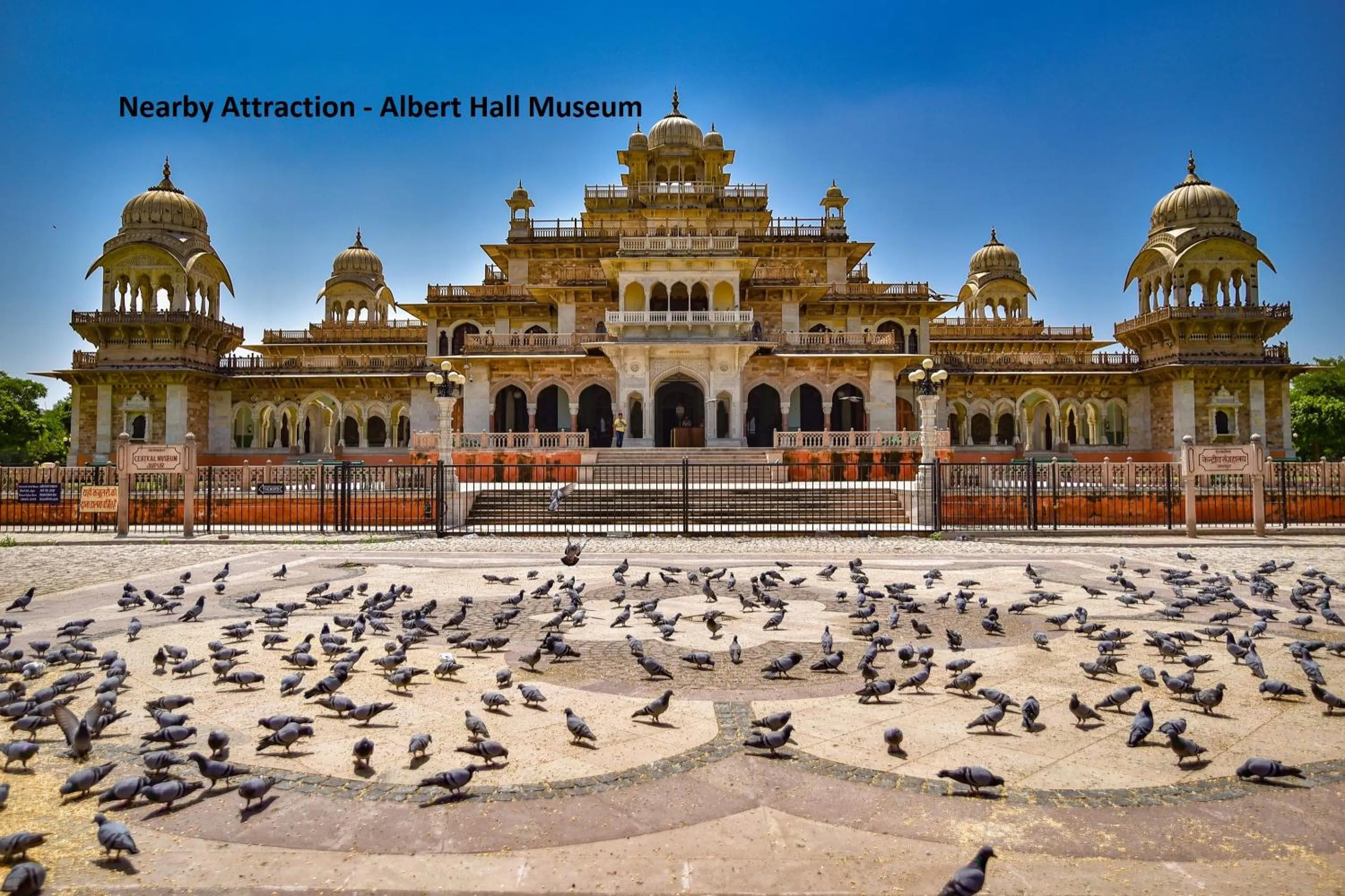 Nearby landmark in Collection O Chawla