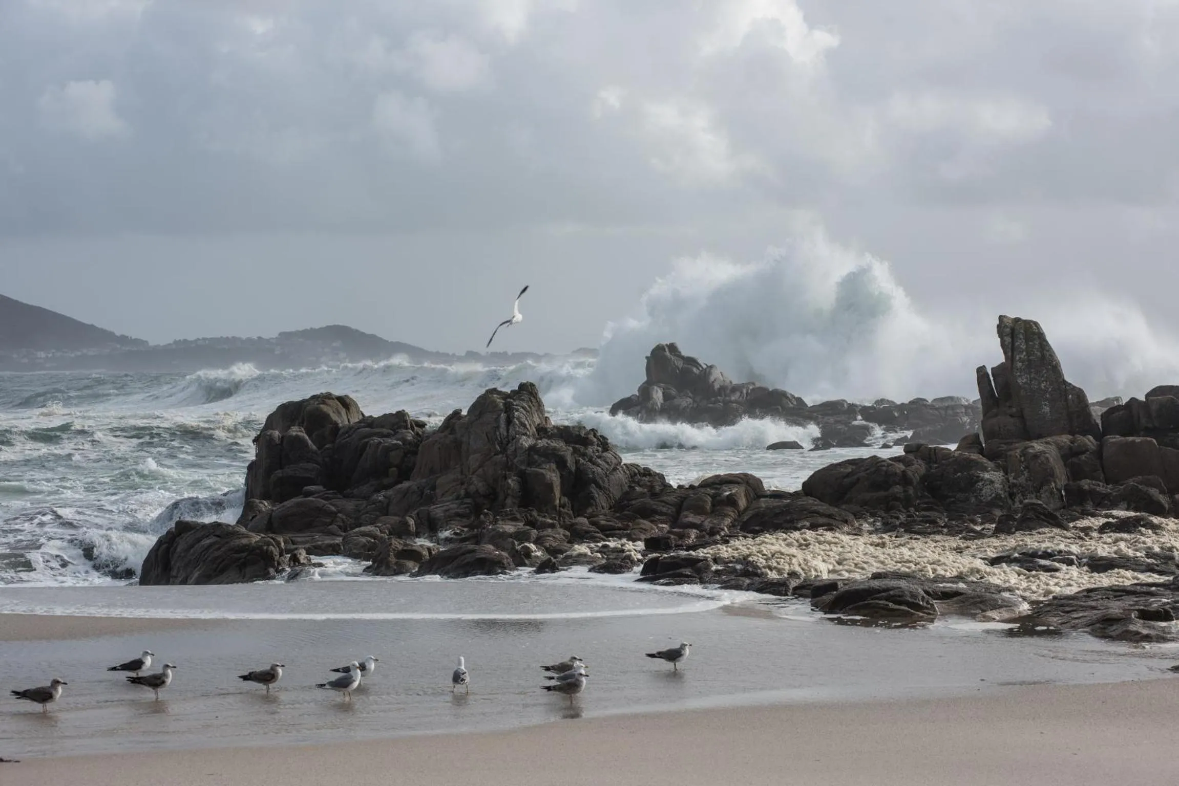 Beach in Hospedium Morada da Moa