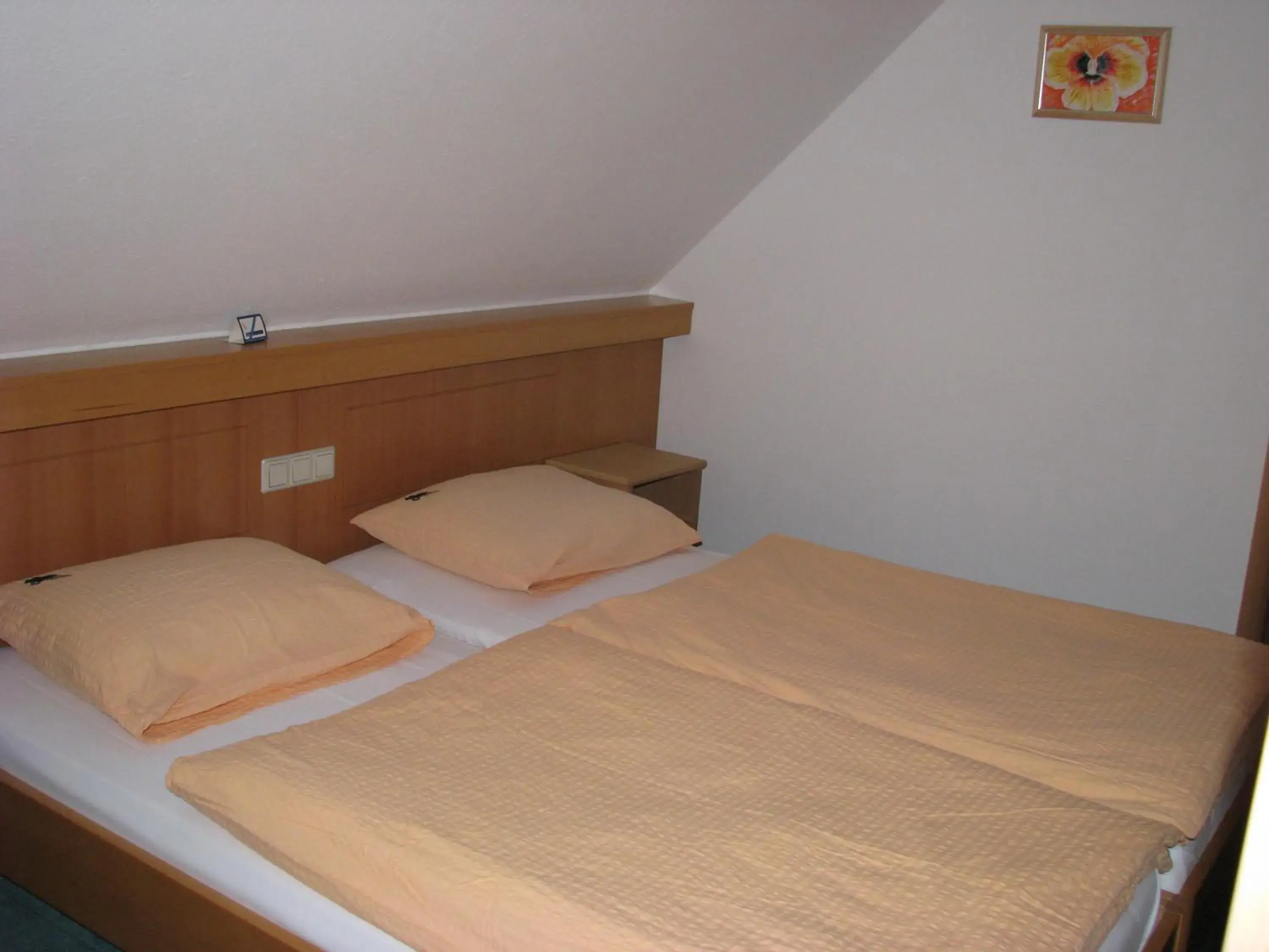 Economy Double or Twin Room in Hotel & Restaurant Zur Weintraube Economy Double or Twin Room in Hotel & Restaurant Zur Weintraube